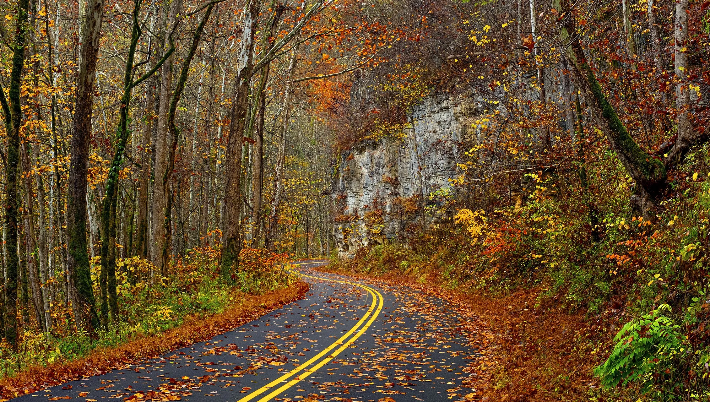 Red River Road Oct 2023.jpg
