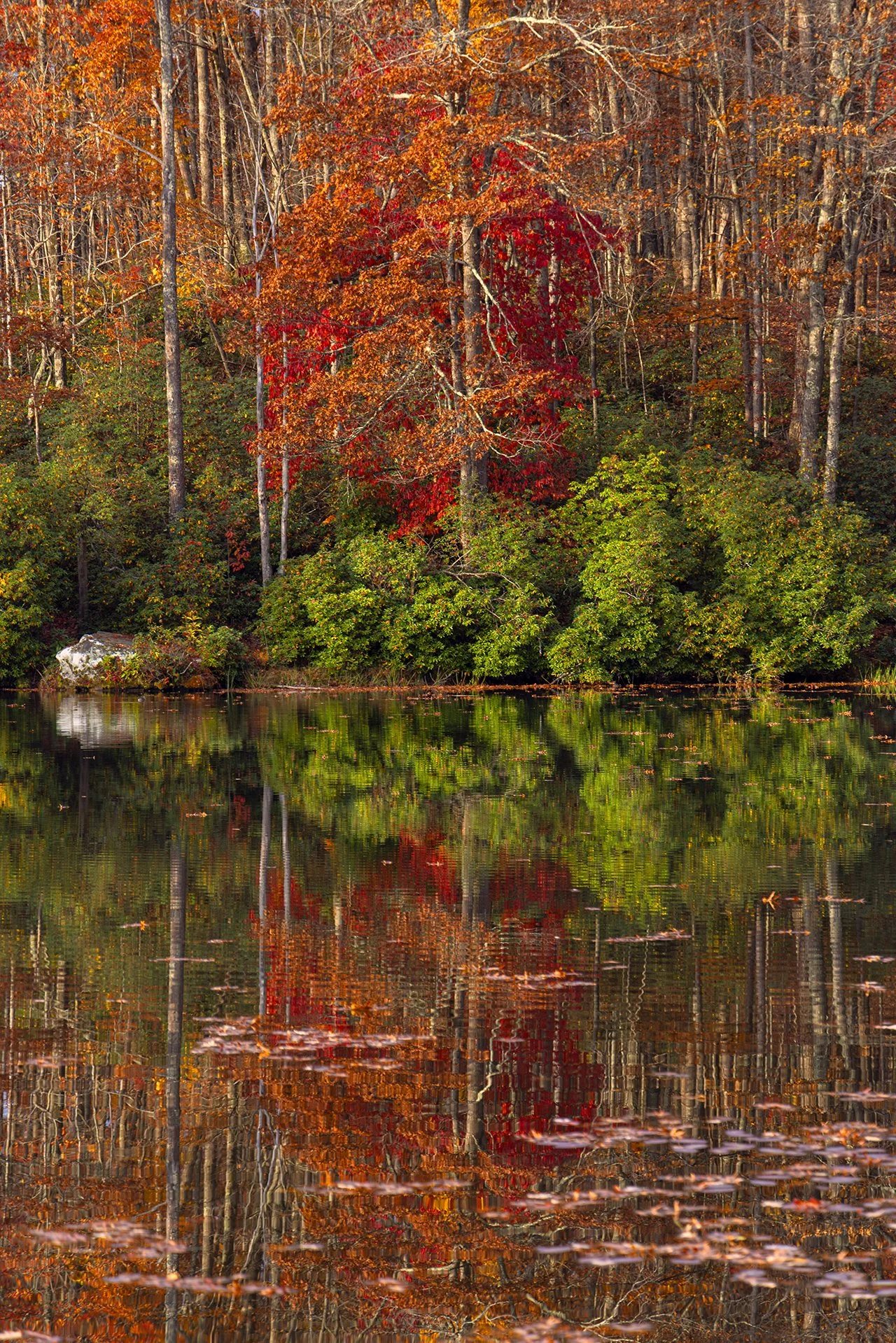 Babcock 291023 lake 291023-1464.jpg