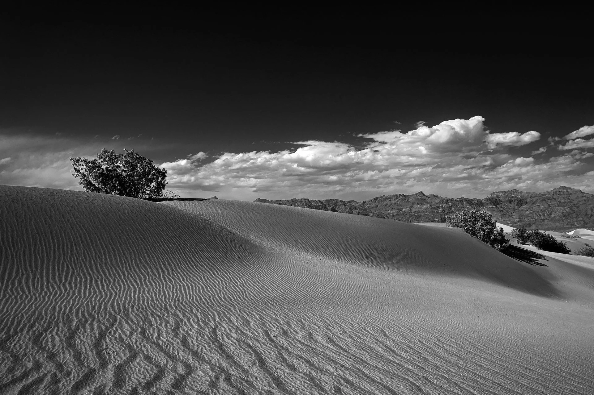 Death Valley Trip-11.jpg