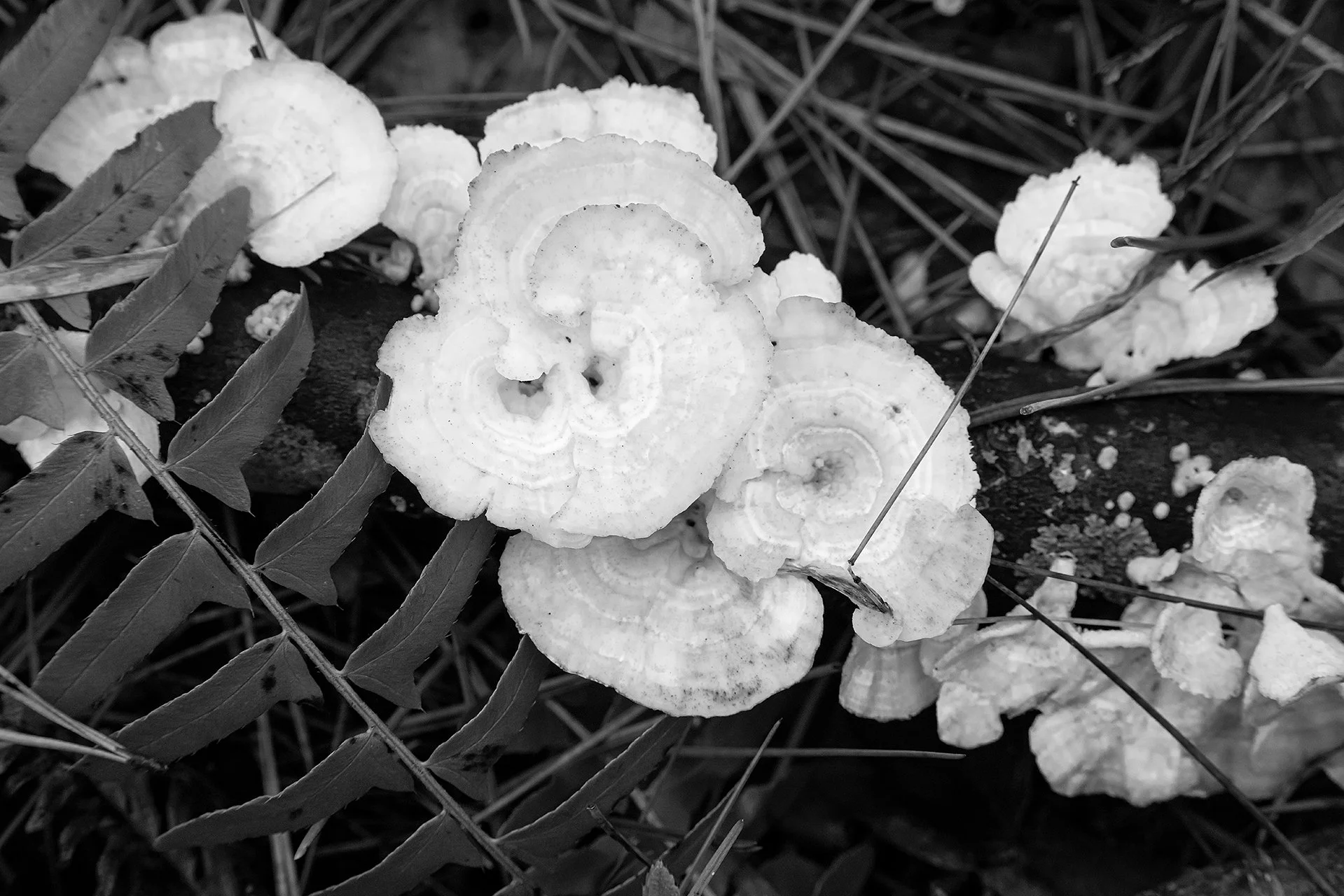 Haun 123122-17.jpg
