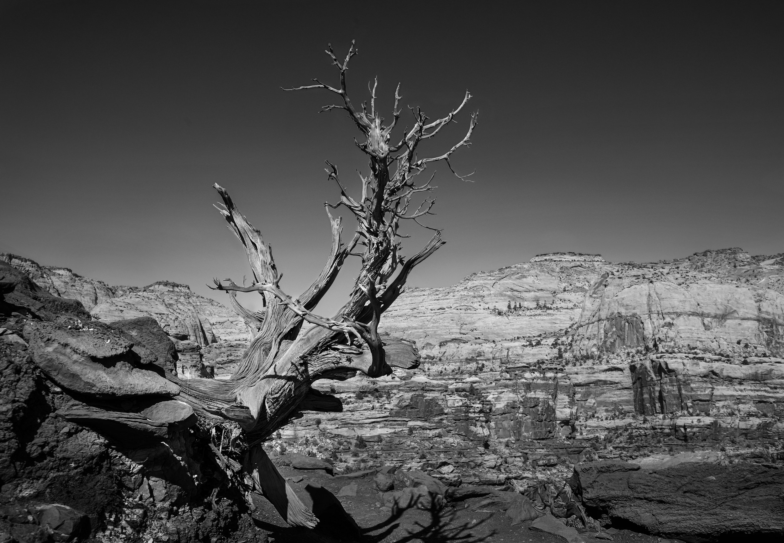 Utah 2022_301.jpg