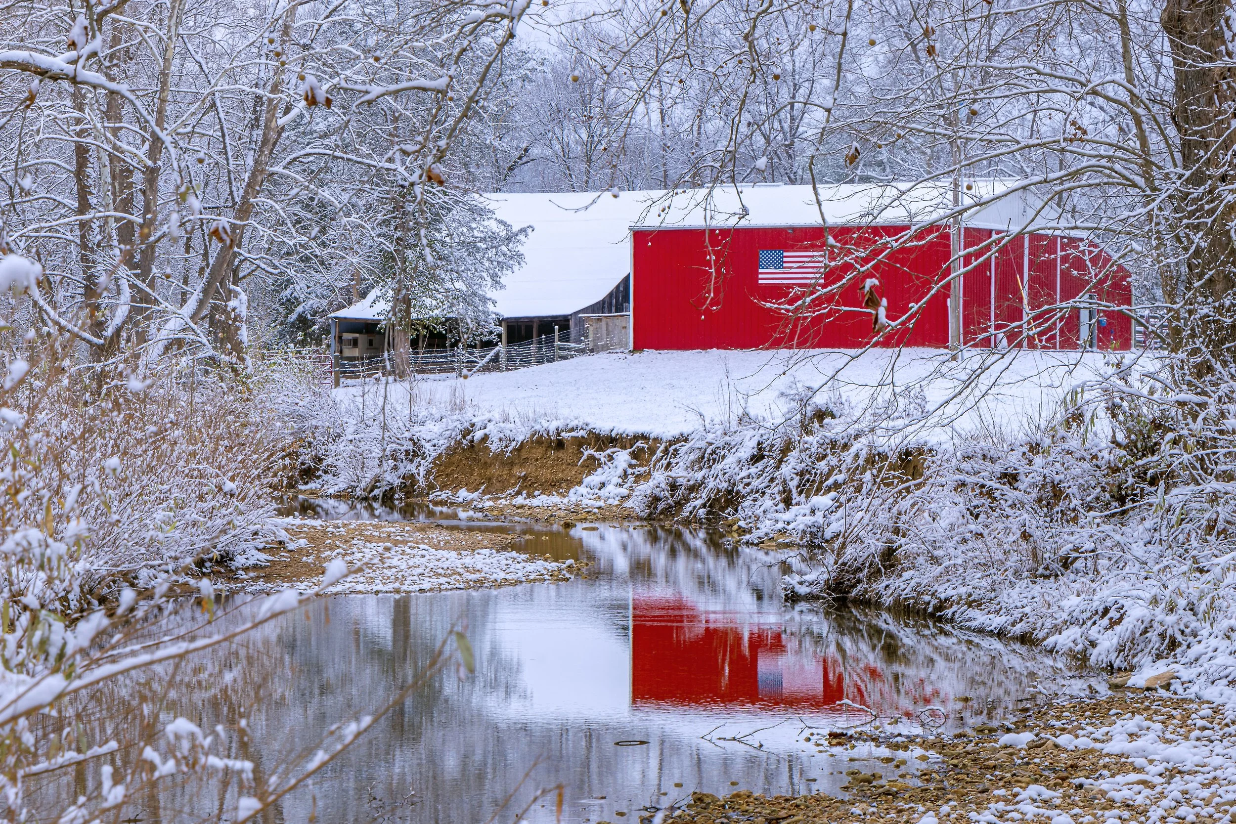 Red Barn Creek 011224-9704.jpg