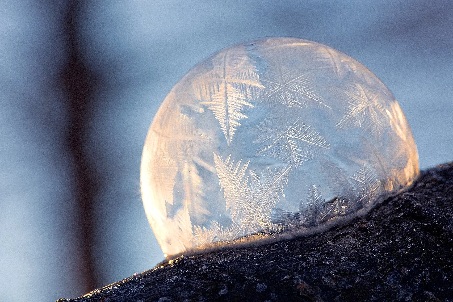 Ice Bubbles 060122_6_Hero.jpg