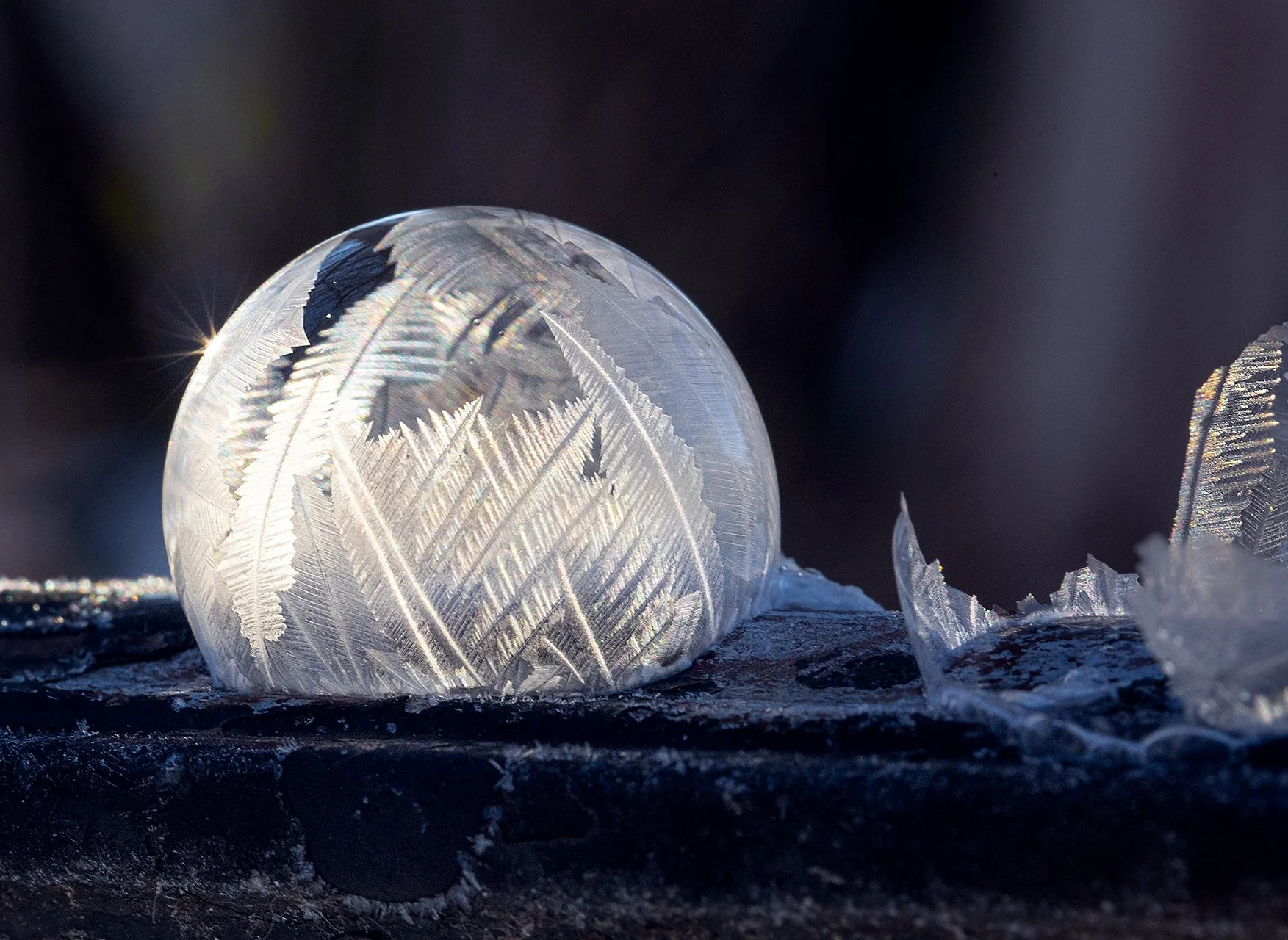 Ice Bubbles 060122_7_-6.jpg