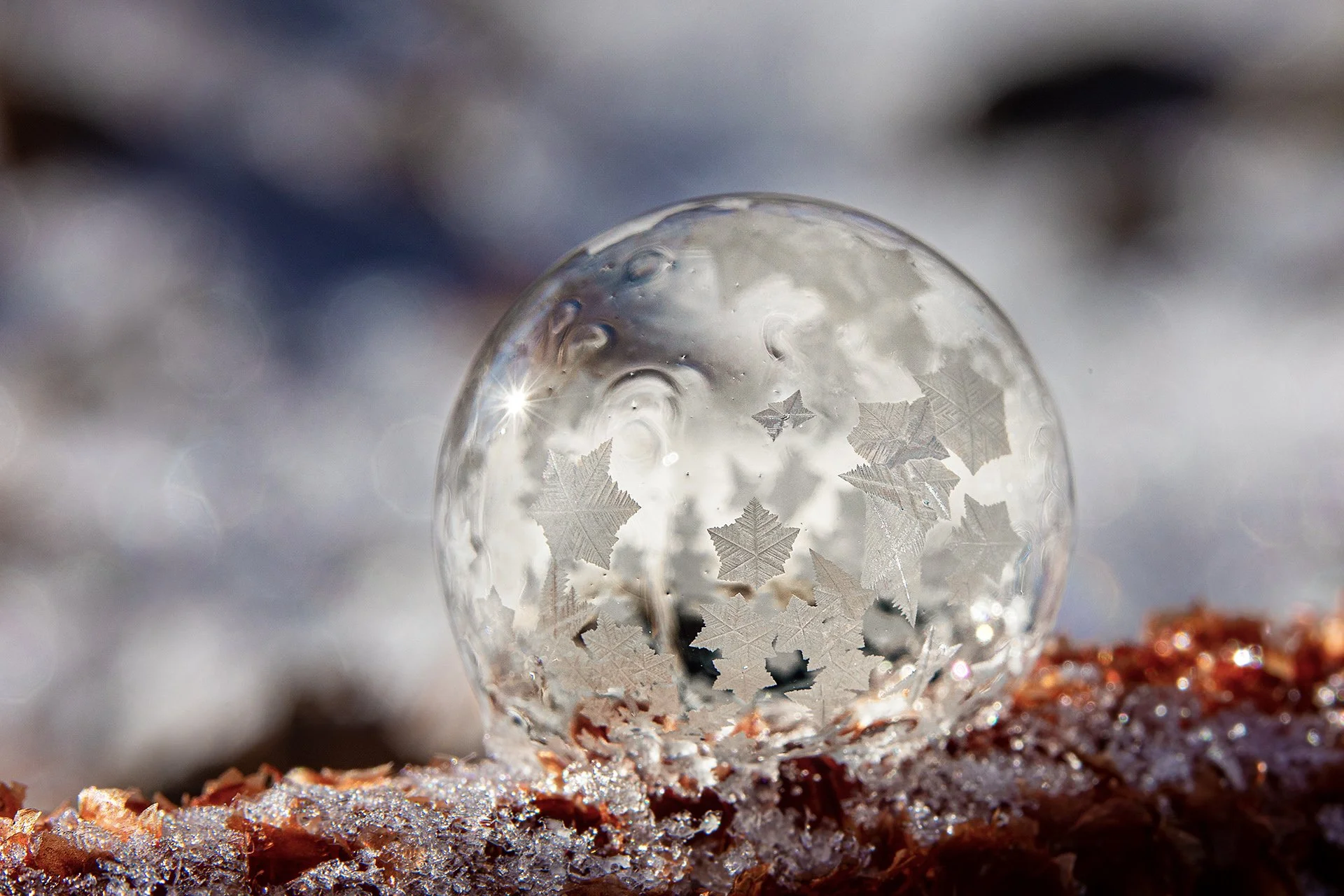 Ice Bubbles 020721-23.jpg