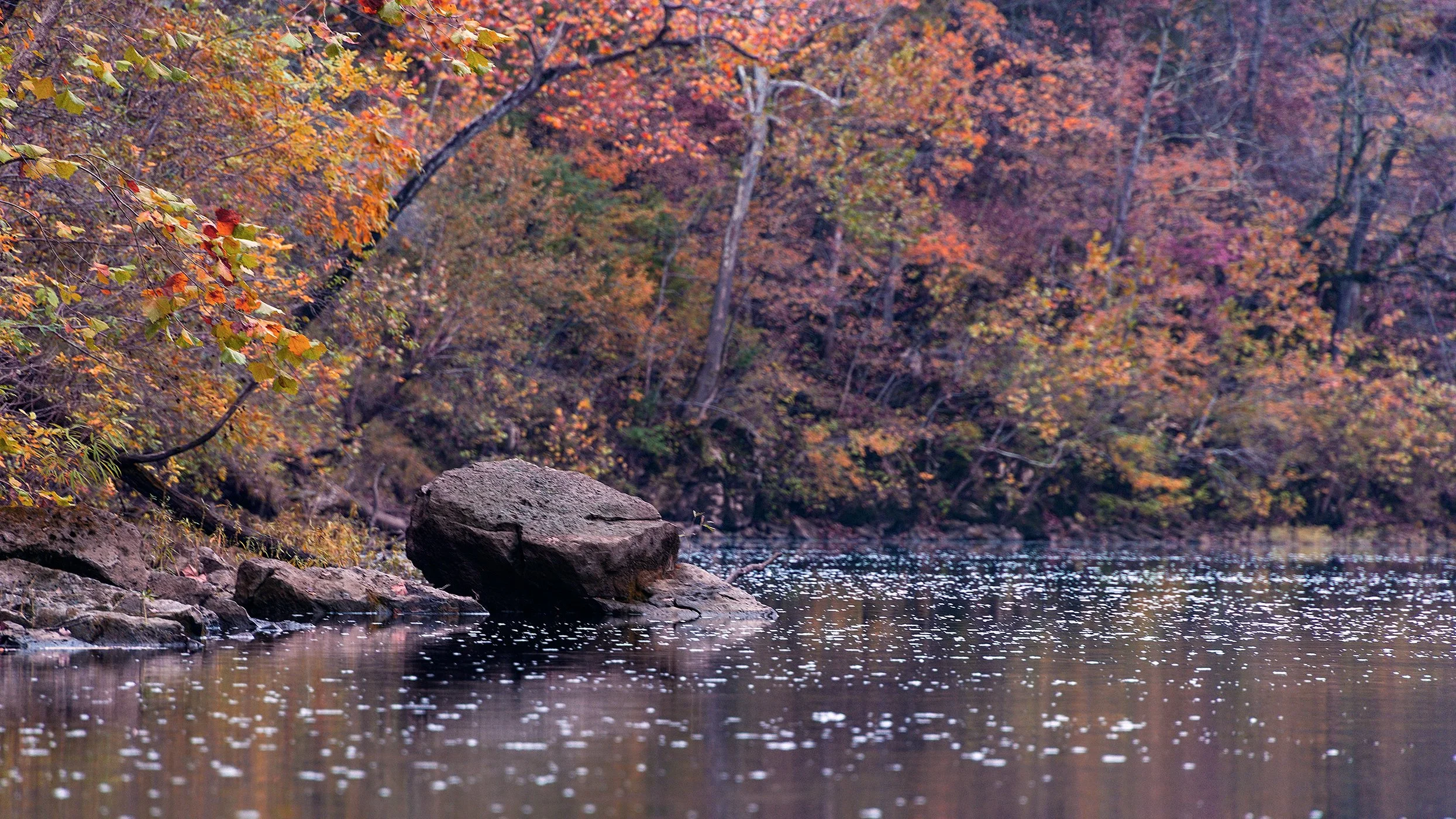 Meramec 102725-5466 sm.jpg