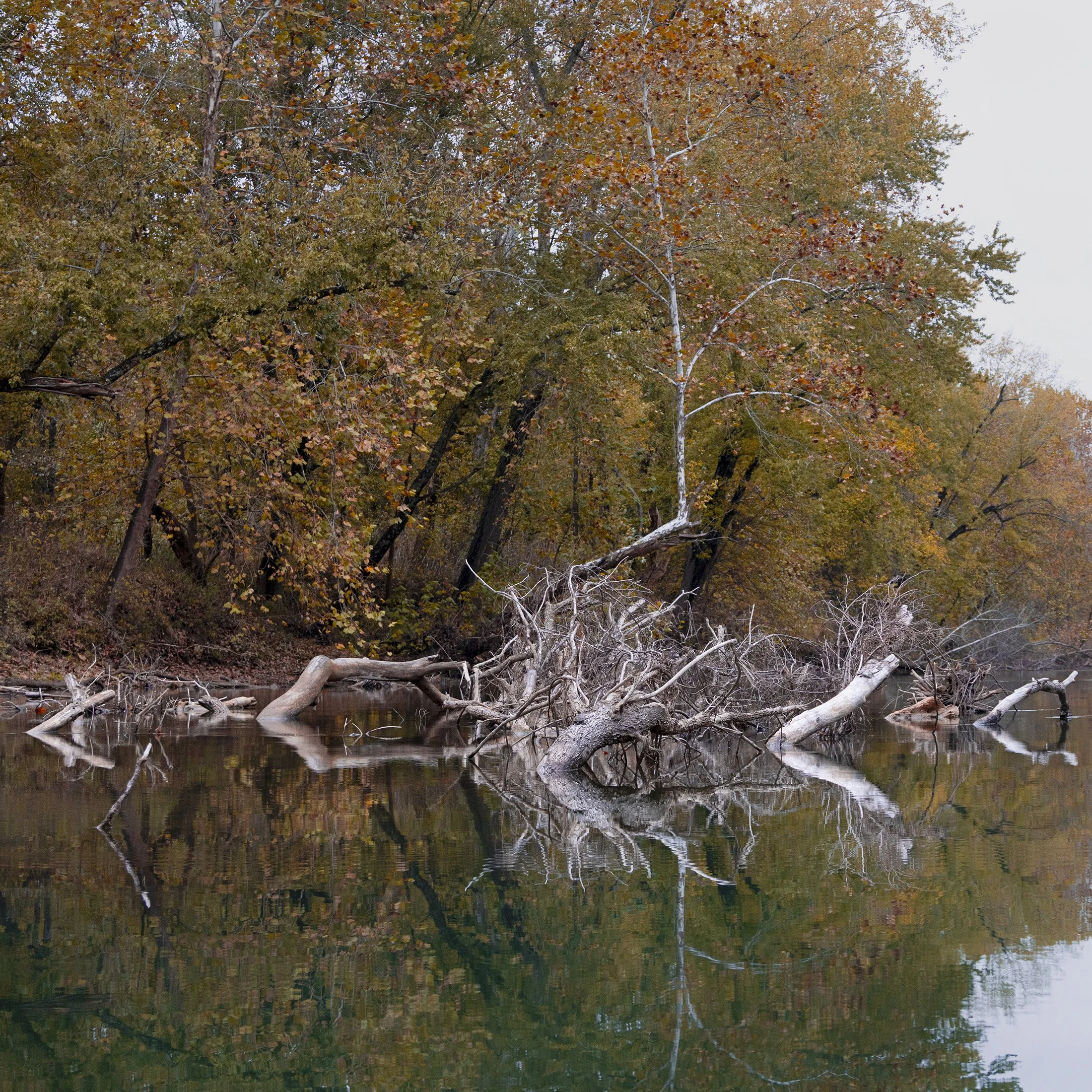 Meramec 102725-5629 sm.jpg