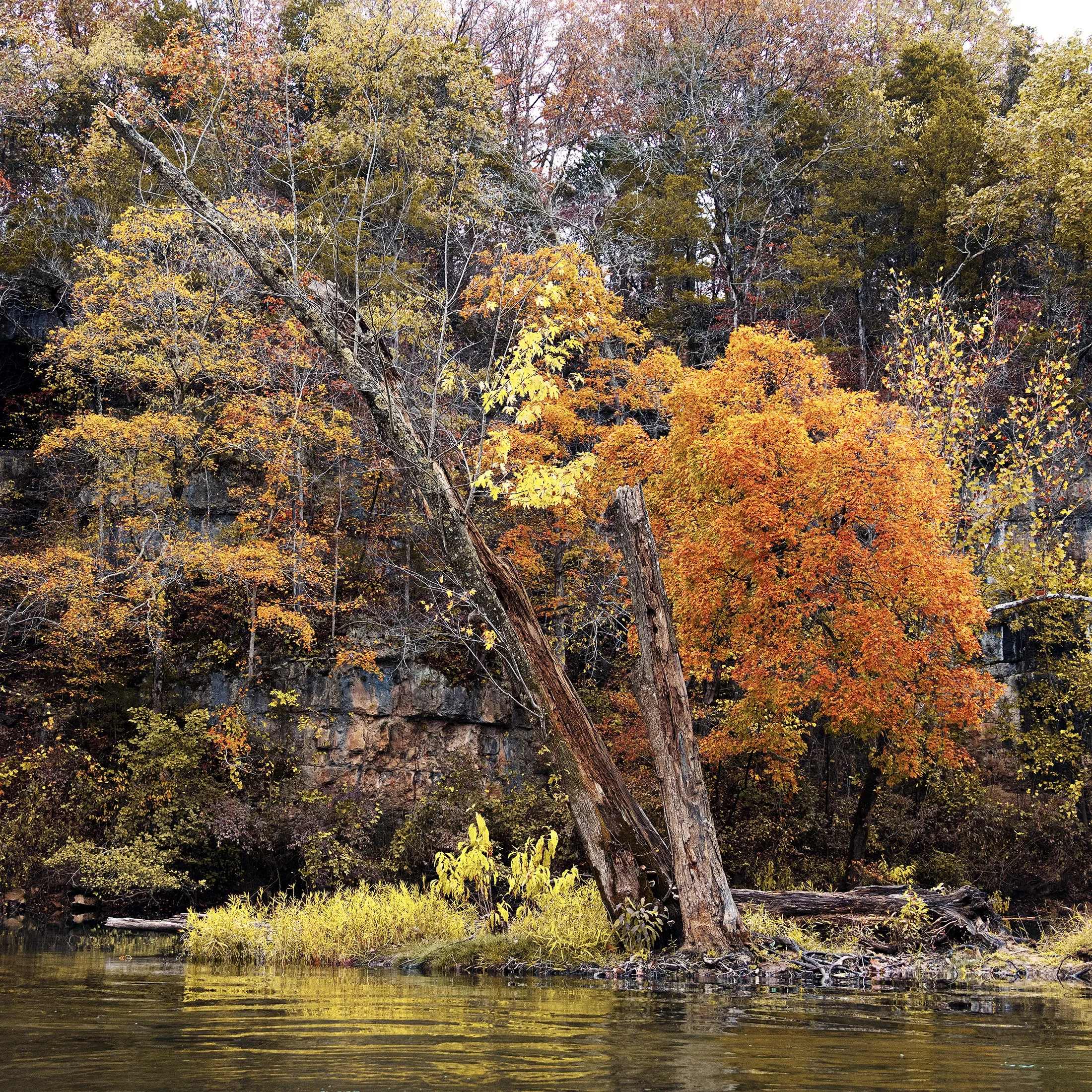 Meramec 102725-5586 sm.jpg