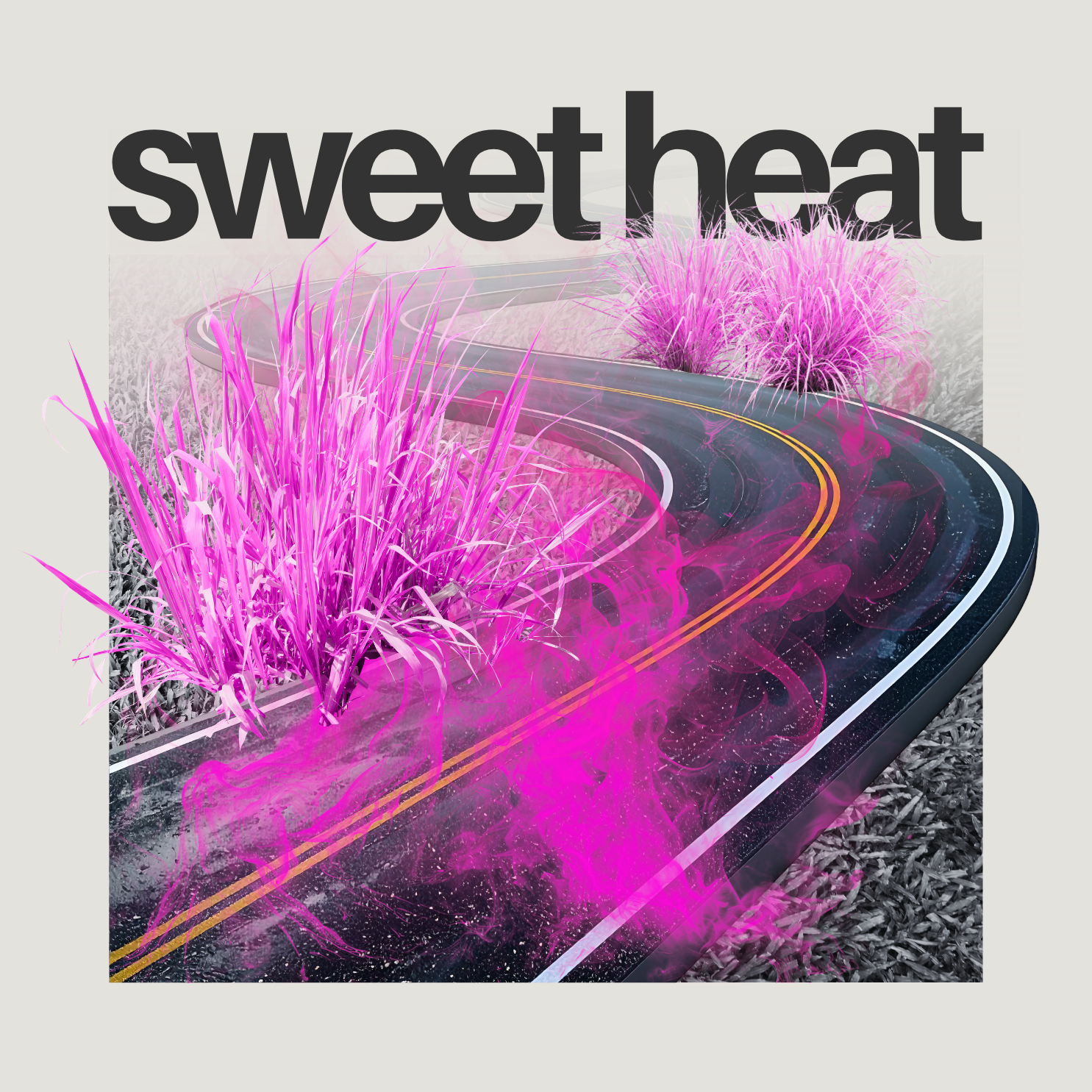 learn more about c4's indica strain named Sweet Heat