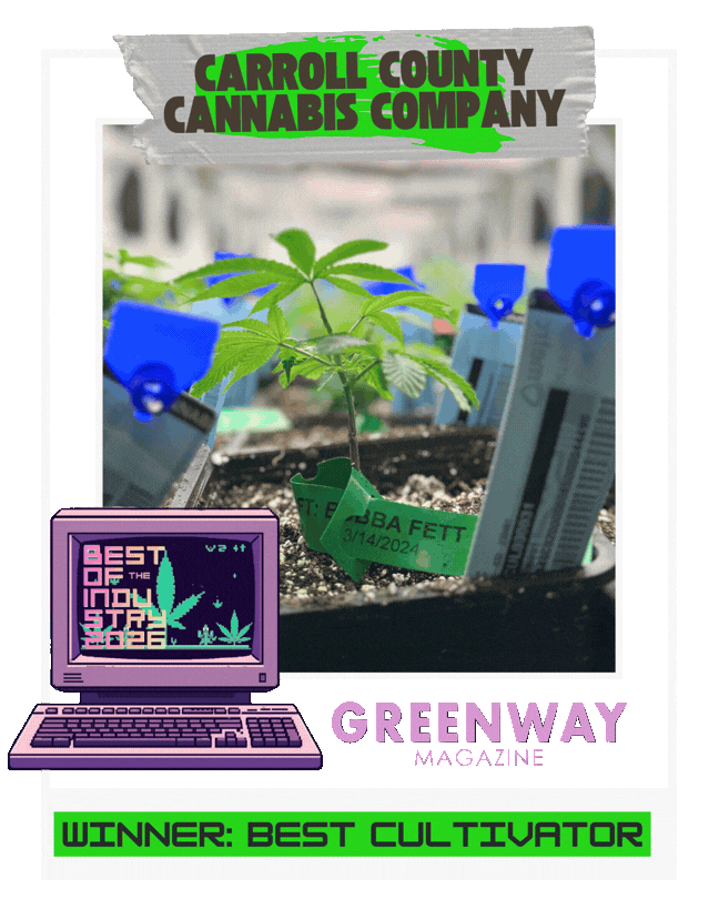 Image of Carroll County Cannabis Companys Bubba Fett strain for their Greenway Magazine Best of the Industry awards for Cultivator of the Year