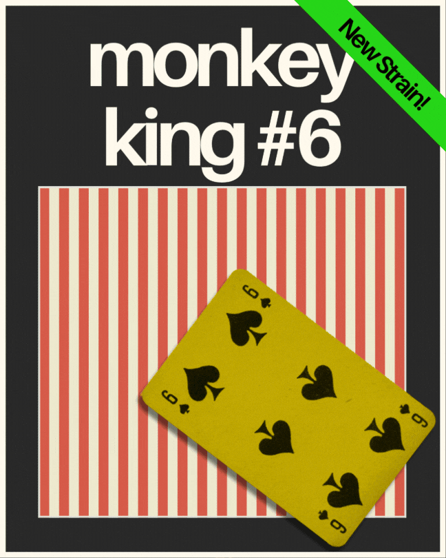 C4 Monkey King #6 Homepage Gif.gif