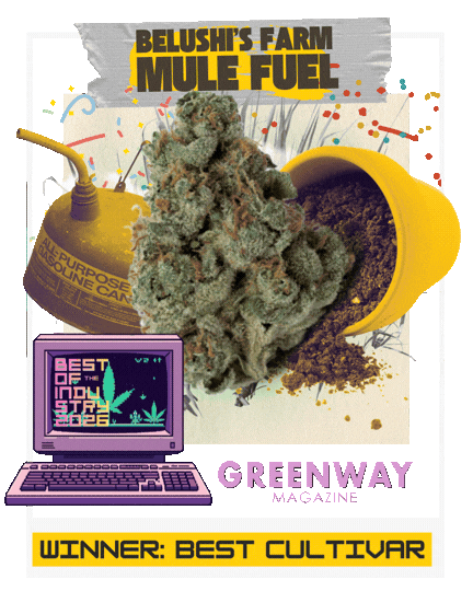 Image of Belushi's Farm Mule Fuel Strain awarded Best Cultivar by Greenway Magazine