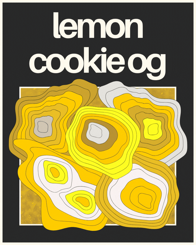Learn more about C4's Lemon Cookie OG strain