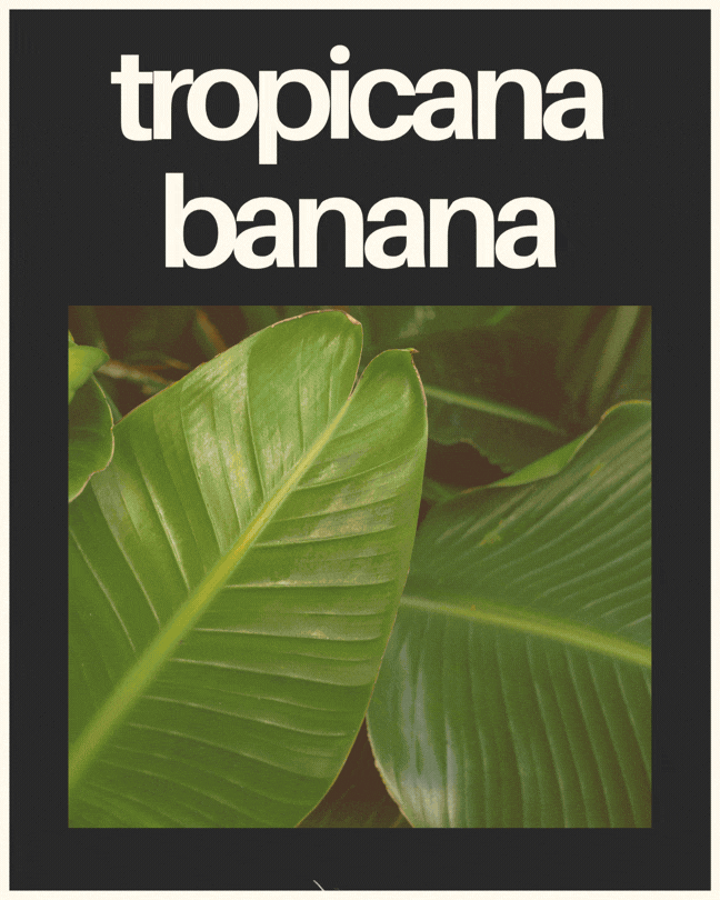 C4 Tropicana Banana Homepage Gif.gif