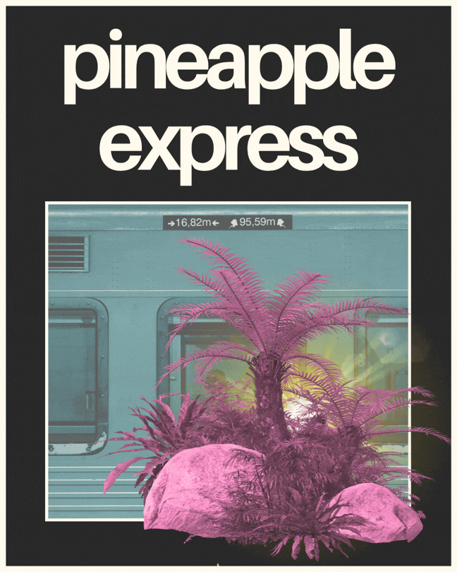 C4 Pineapple Express Homepage Gif.gif