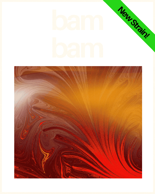 Learn more about C4's Bam Bam Strain