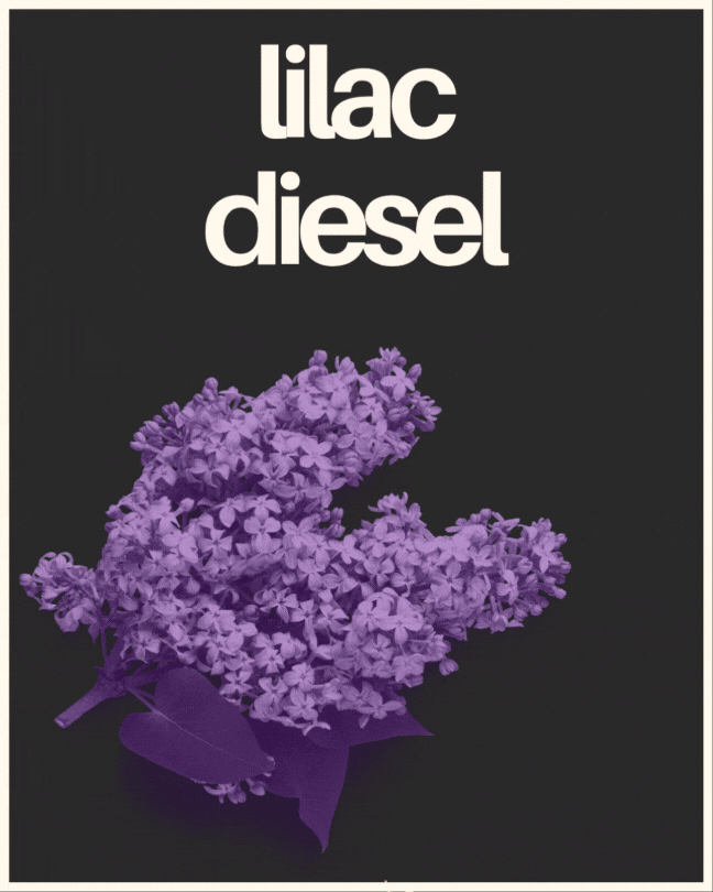 Learn more about C4's Lilac Diesel strain