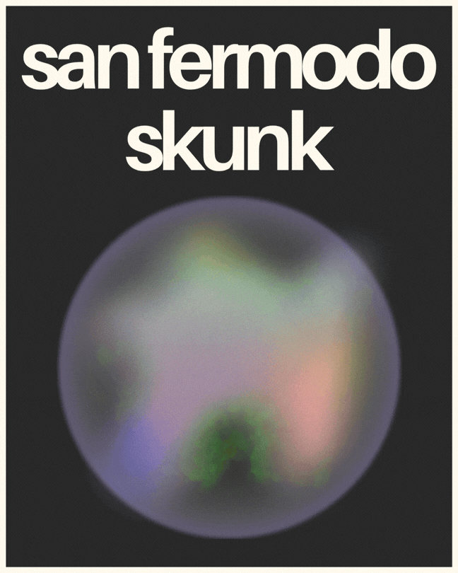 C4 San Fermodo Skunk Homepage Gif.gif