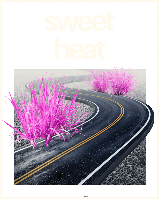 Learn more about C4's Sweet Heat strain