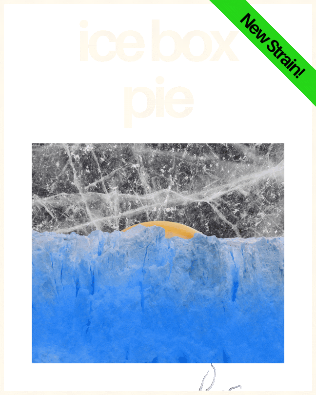 Learn more about C4's Icebox Pie