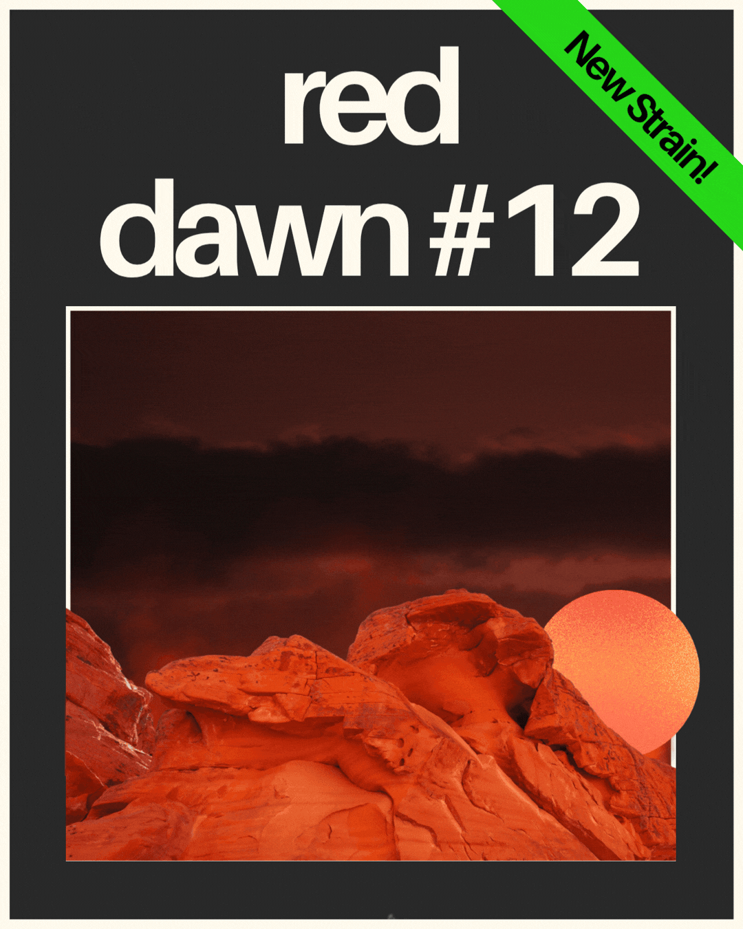 Learn more about C4's Red Dawn #12