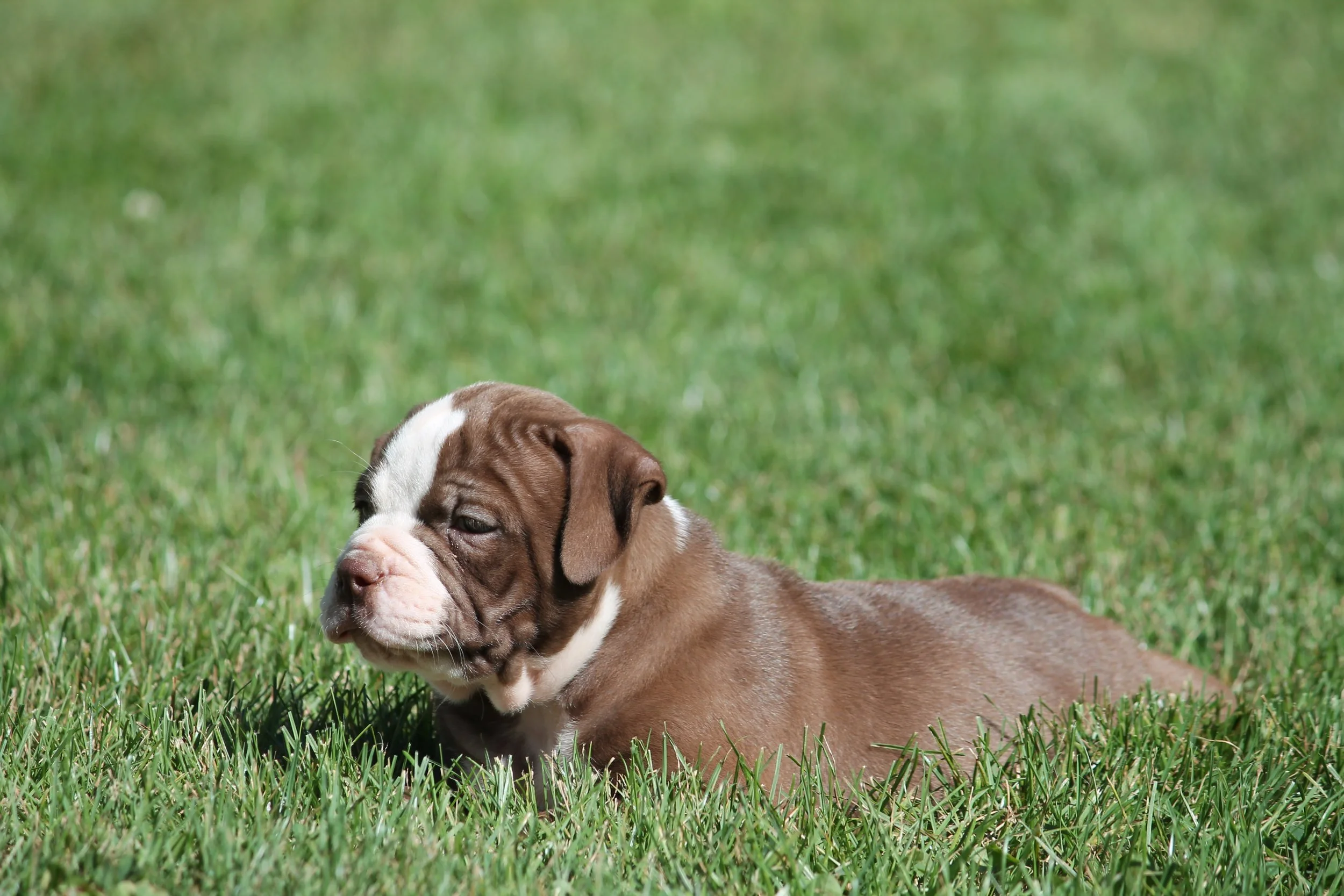 ETHEL6WK (5).JPG