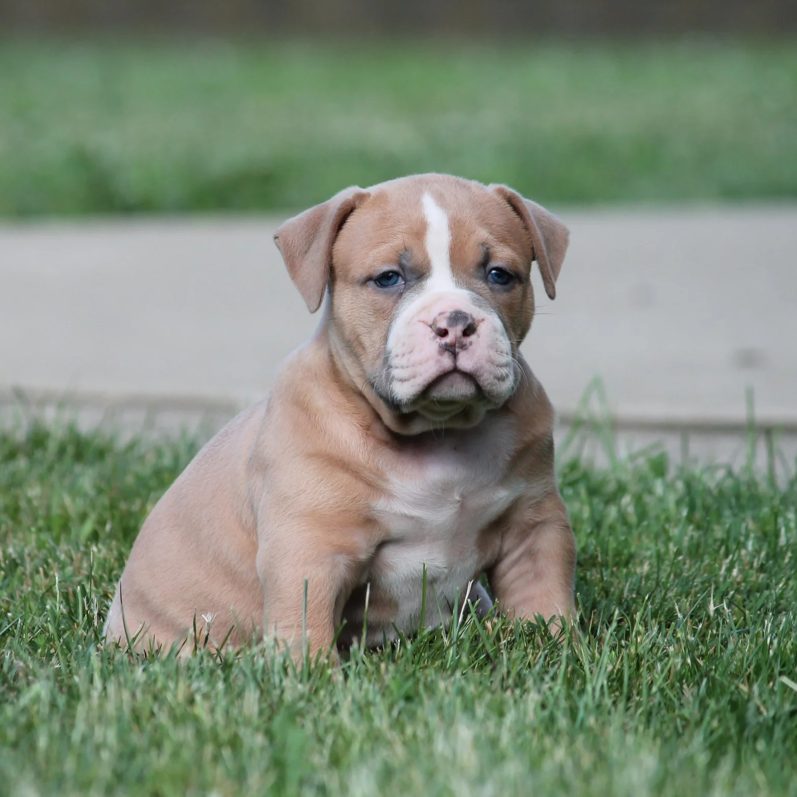 RUMMY at 6 weeks