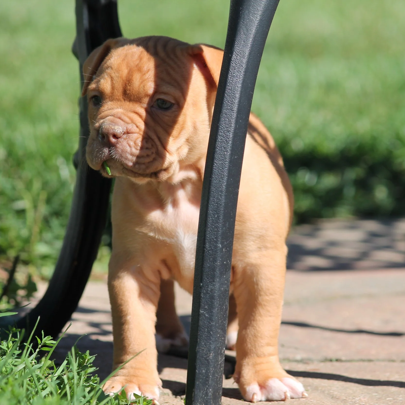 BETTY6WK+%285%29.png