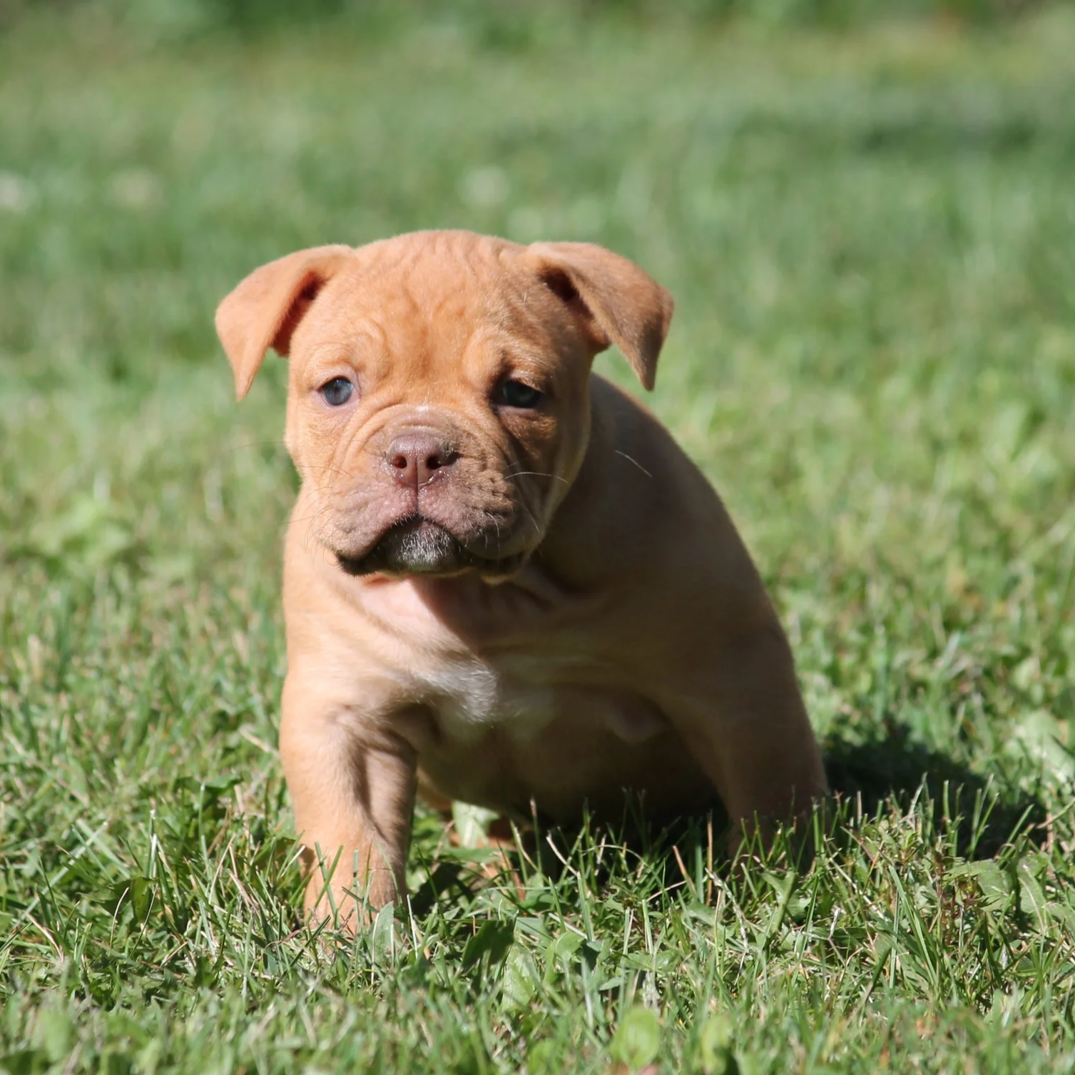 CHERYL6WK+%287%29.png