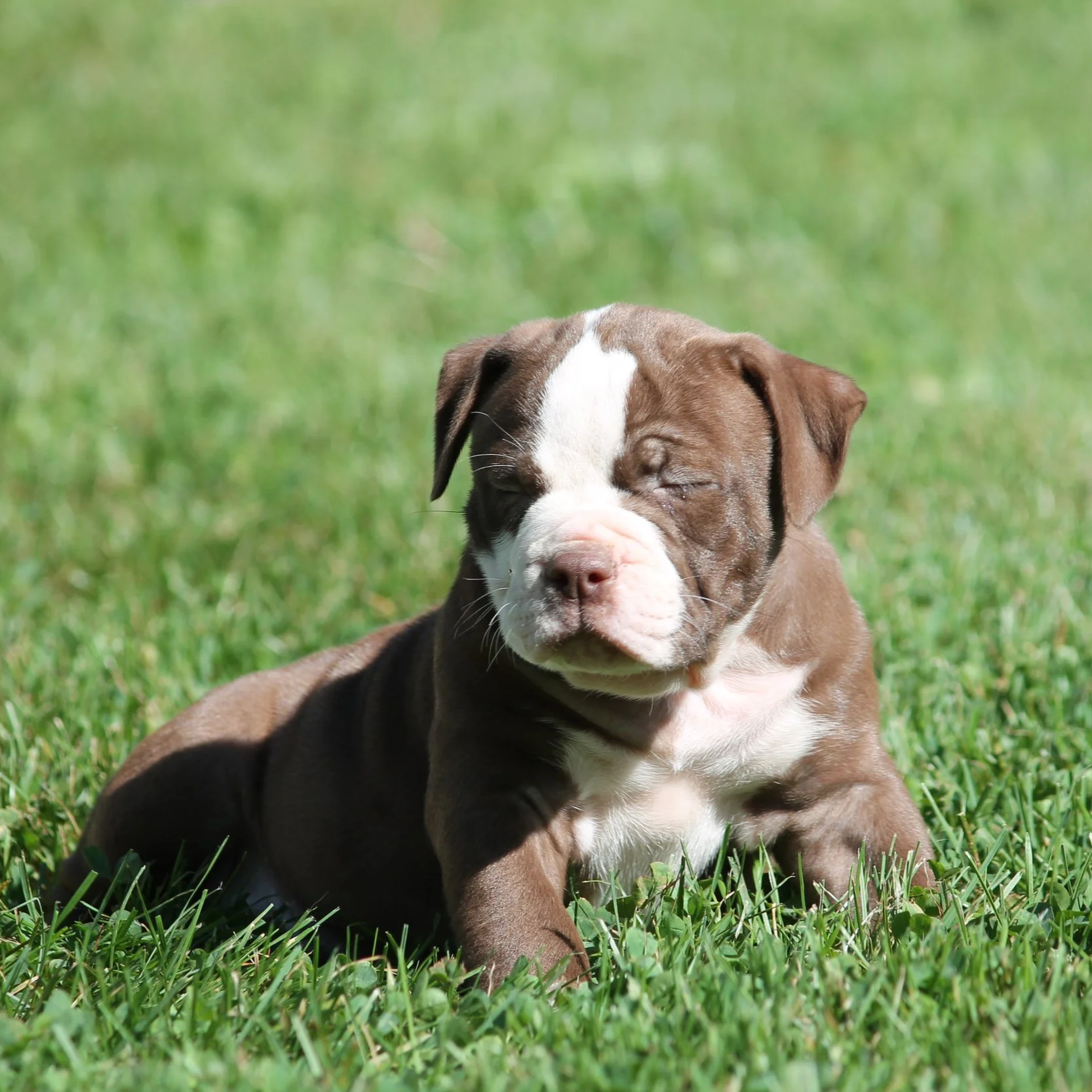 ETHEL6WK+%2811%29.png
