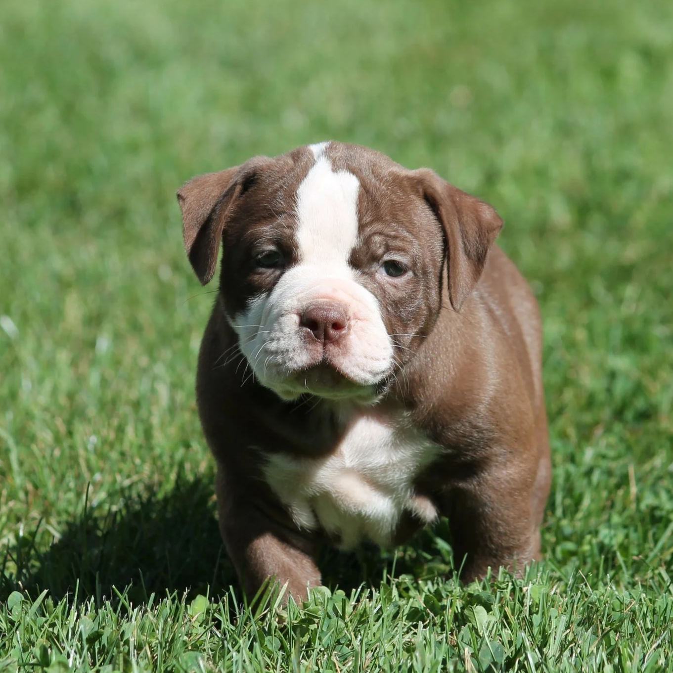 ETHEL6WK+%288%29.png