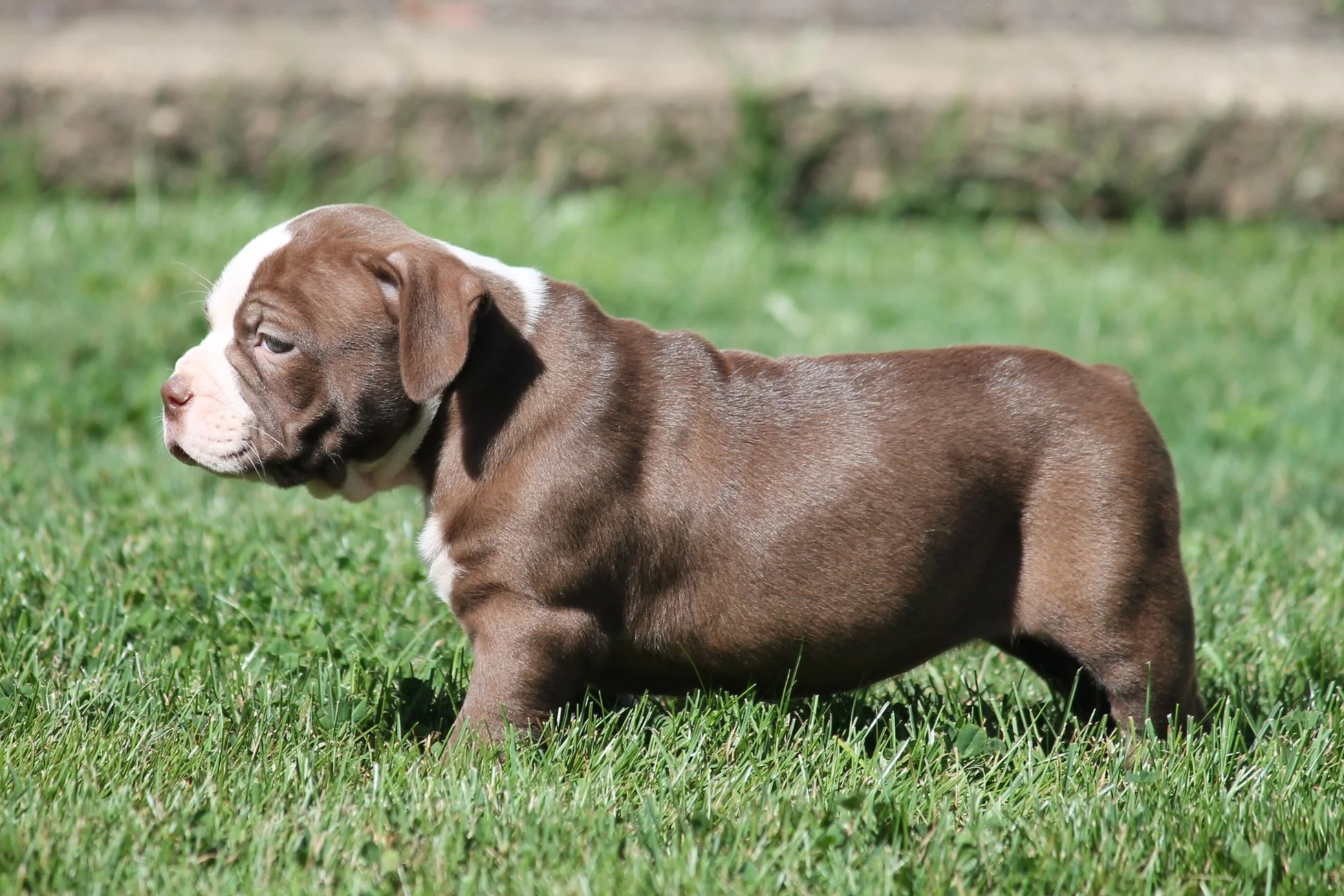 ETHEL6WK.png
