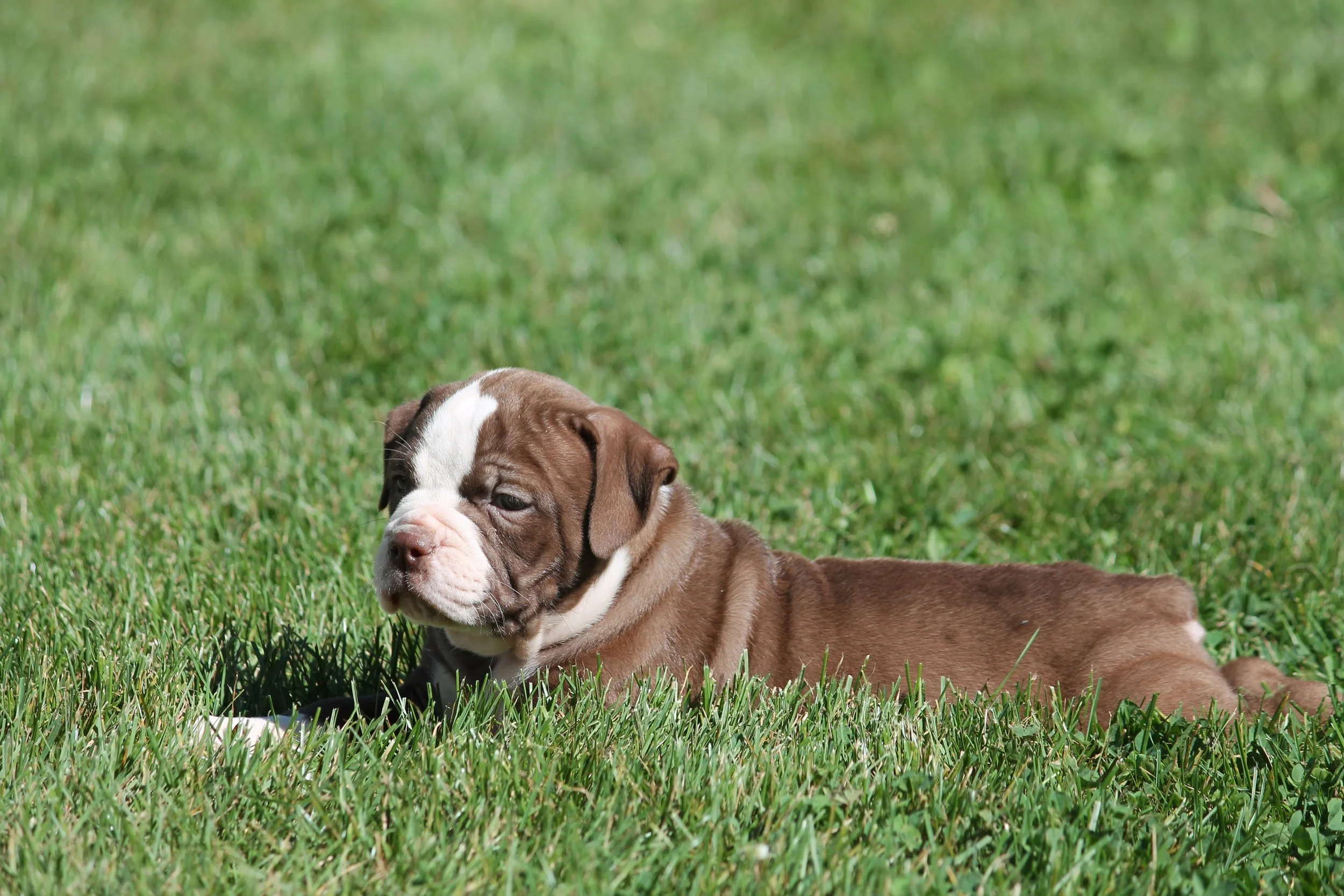 ETHEL6WK (4).JPG