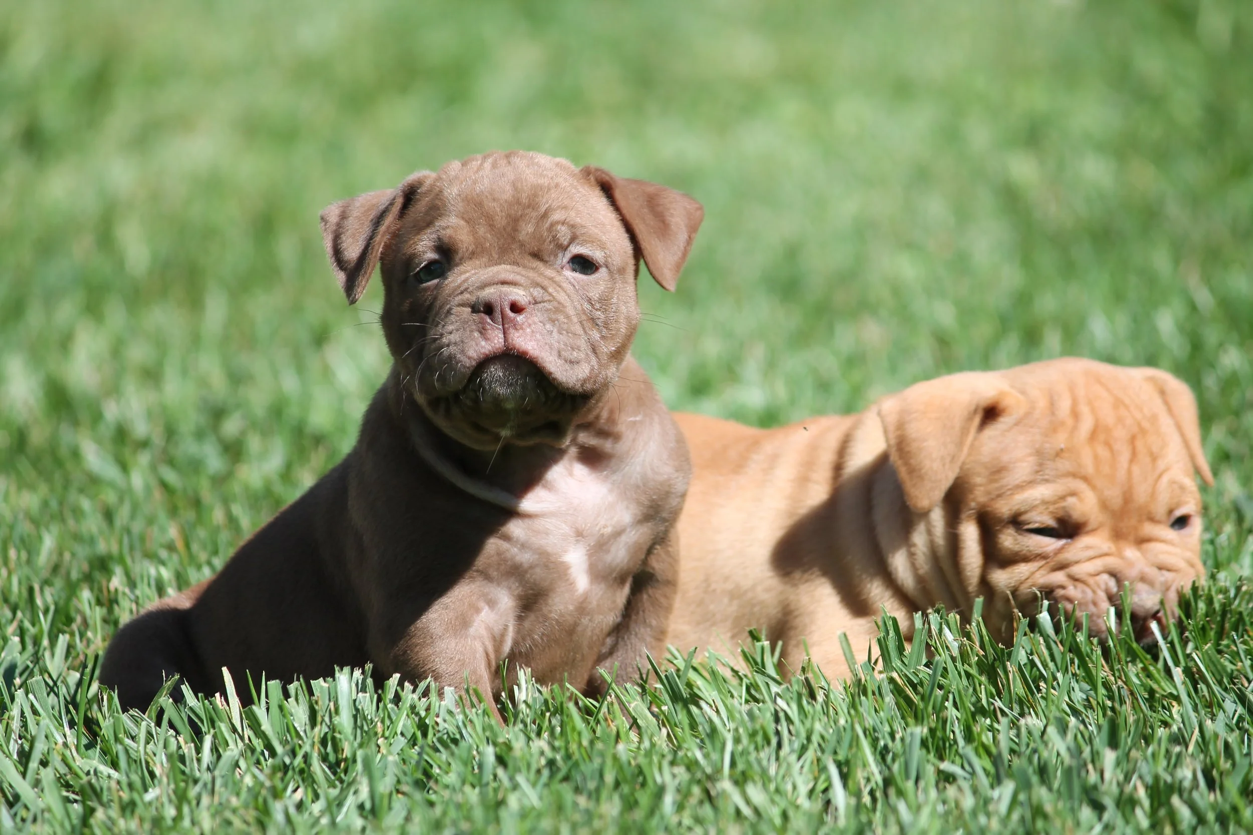 REGGIE6WK (6).JPG