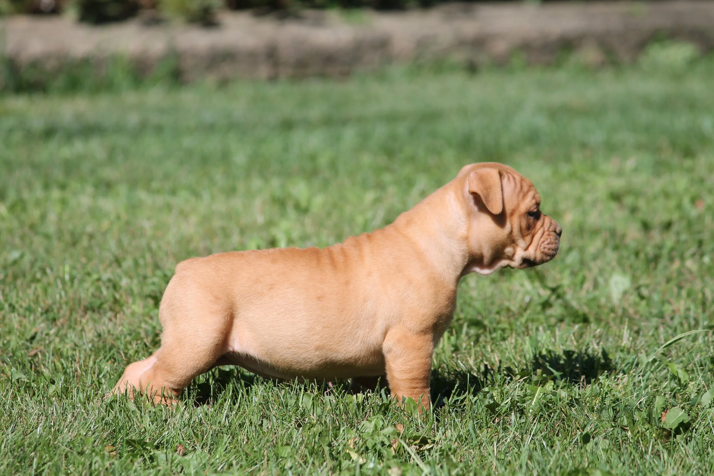 BETTY6WK.JPG
