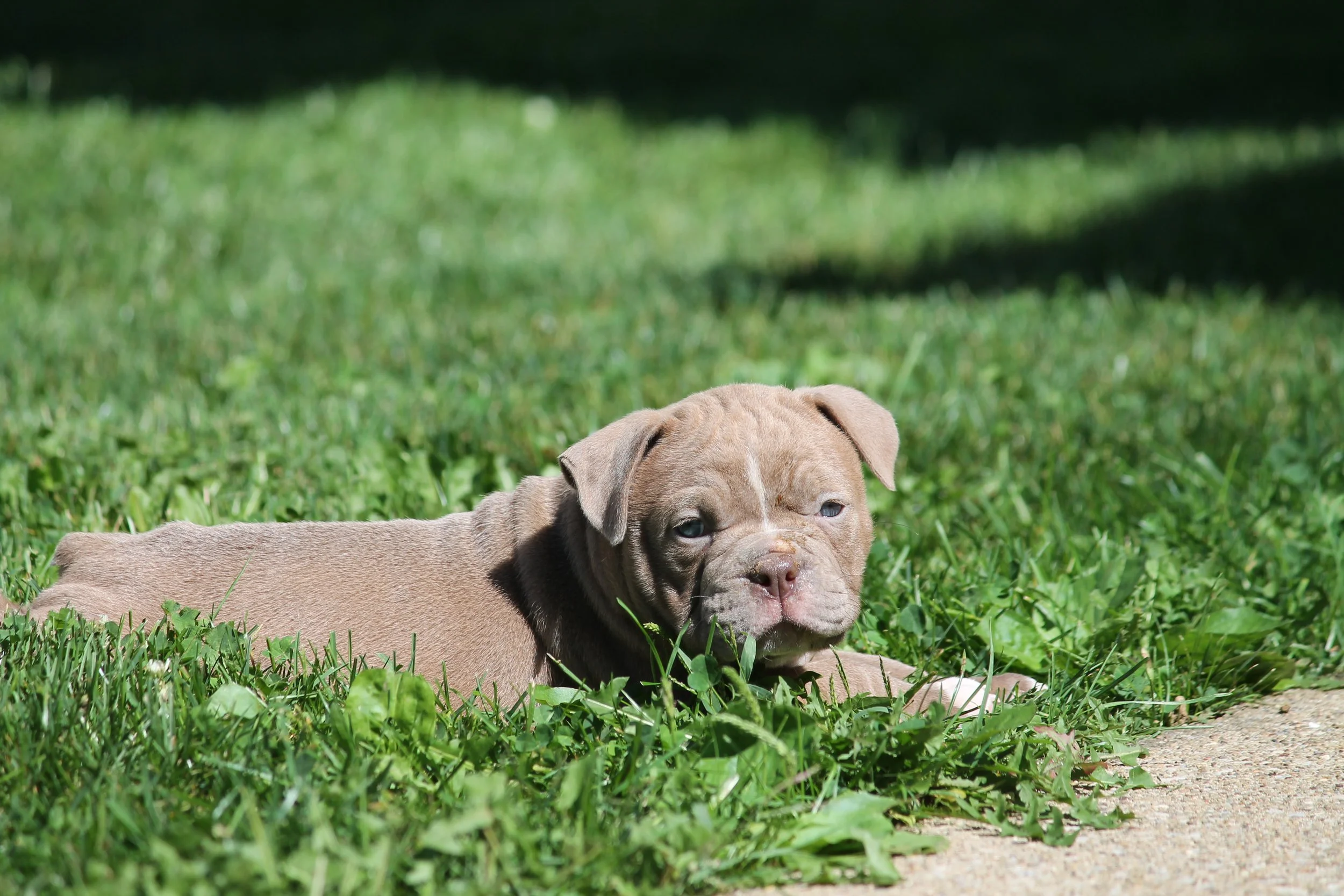 JUGHEAD6WK (4).JPG