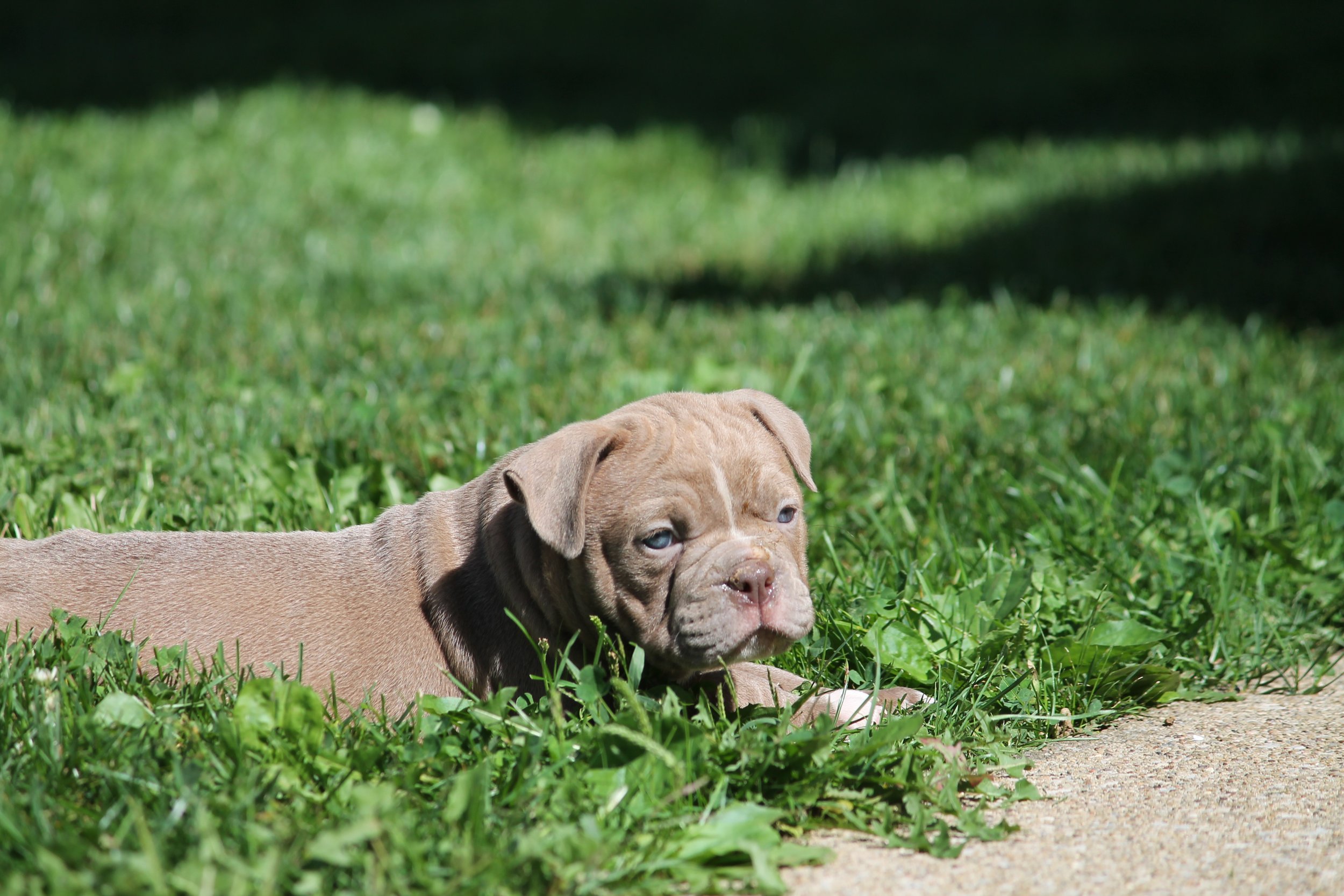JUGHEAD6WK (5).JPG