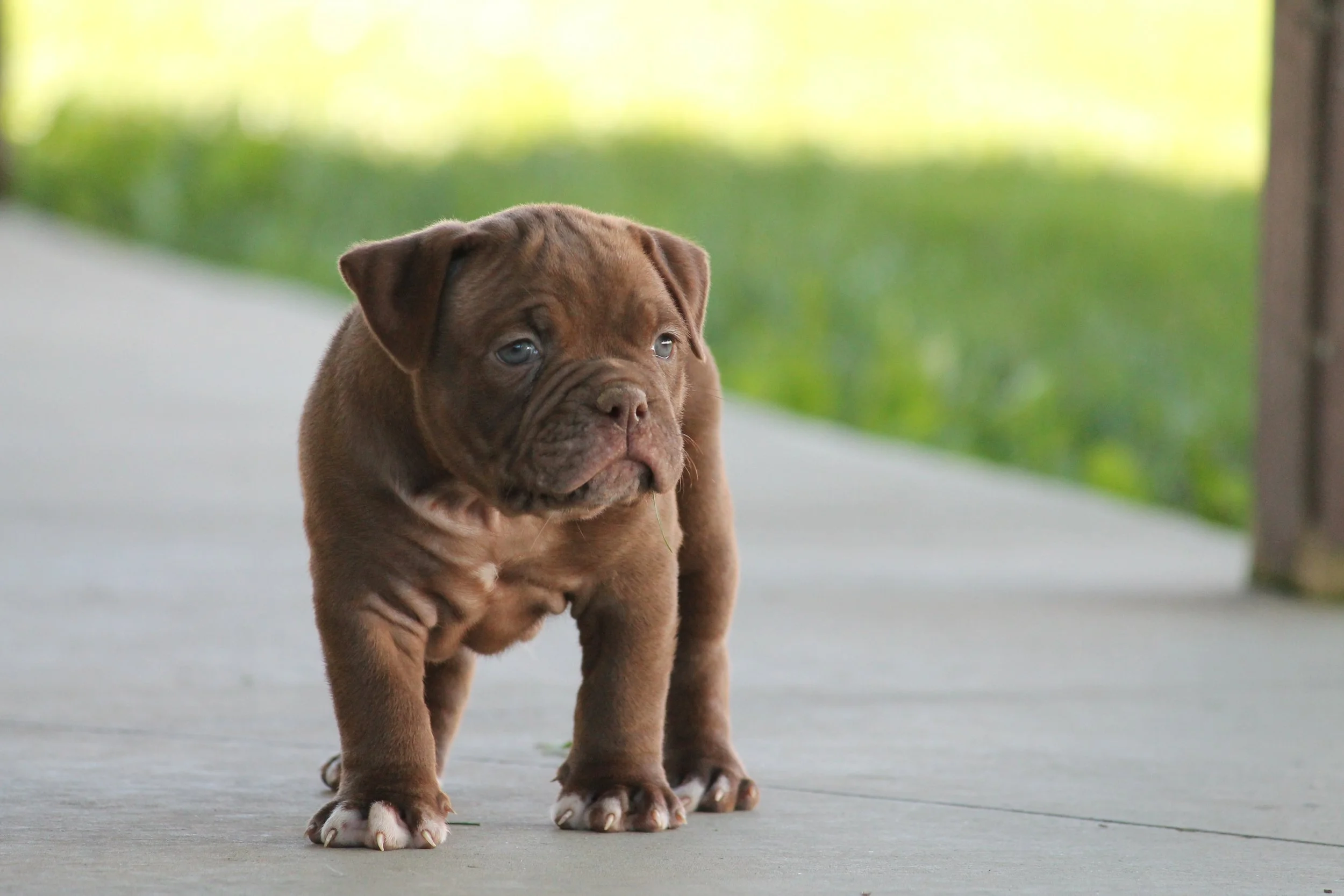 REGGIE6WK (10).JPG