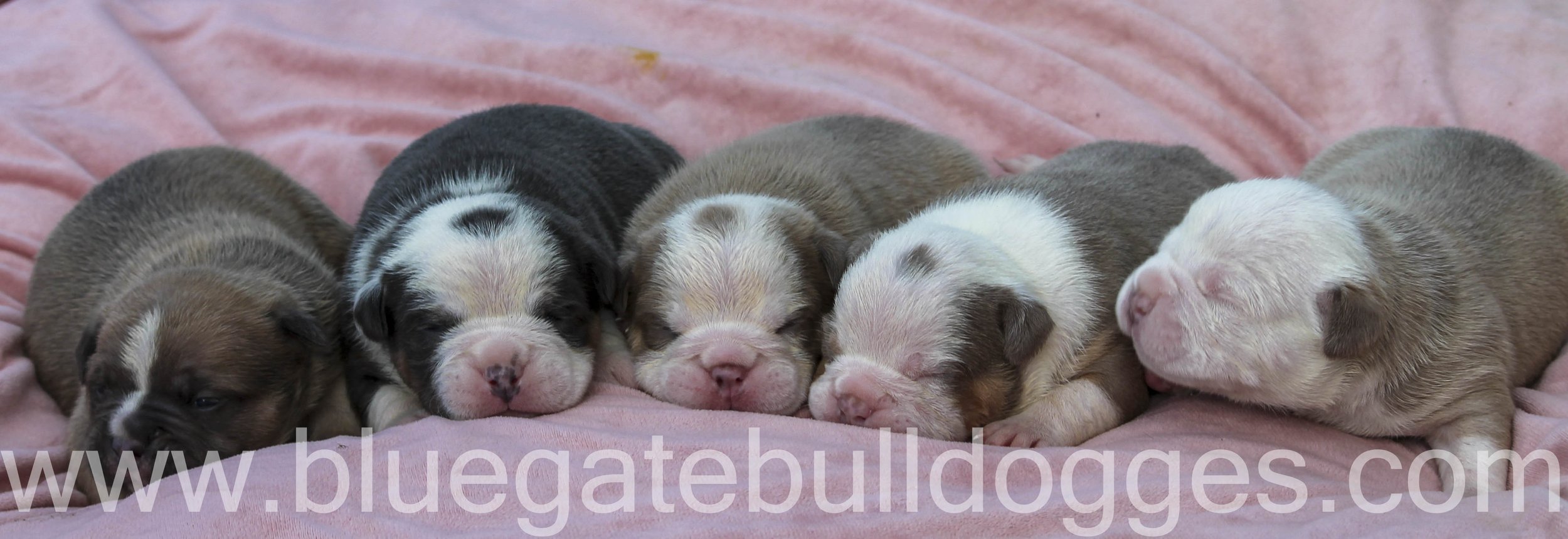 5 males