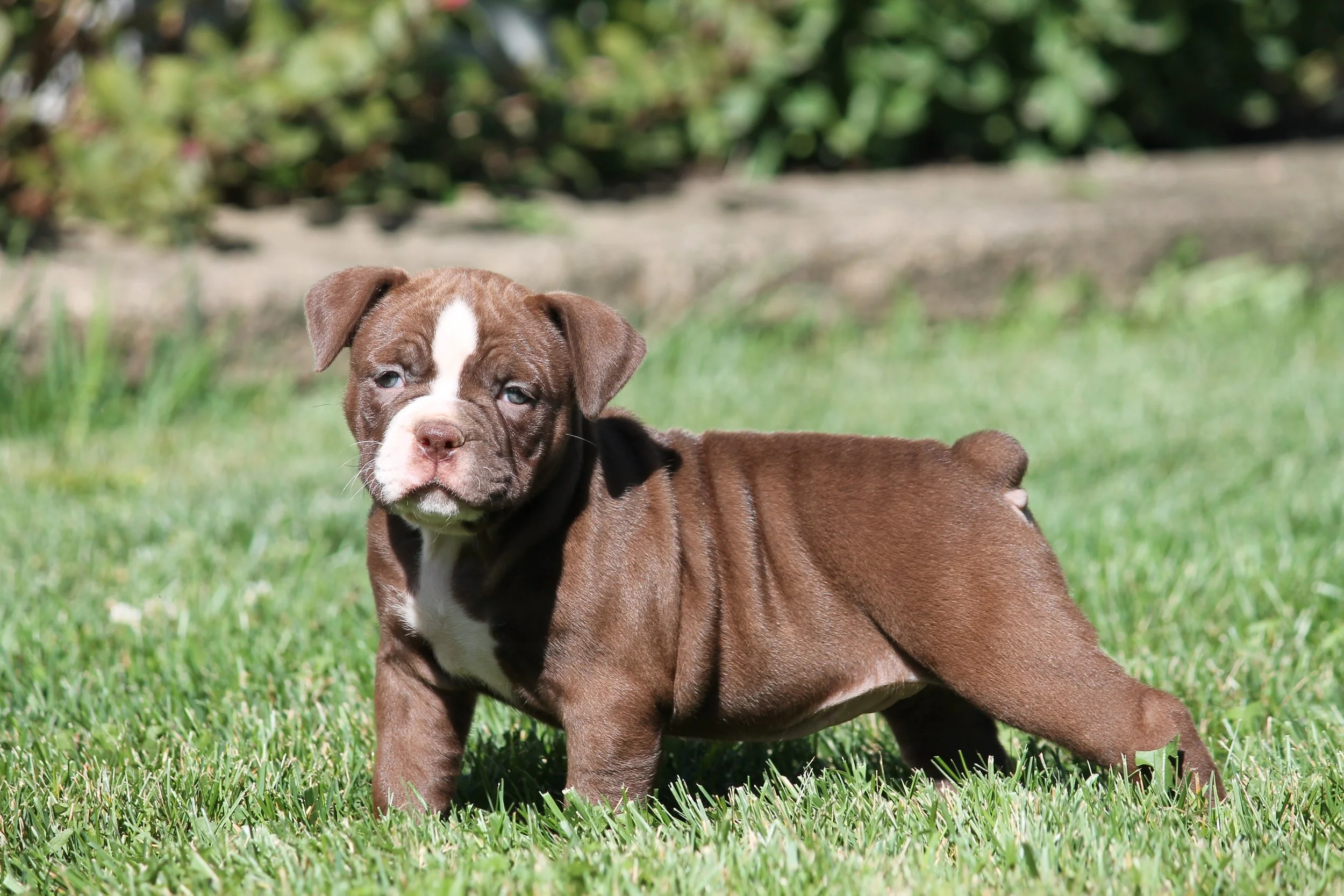VERONICA6WK (8).JPG