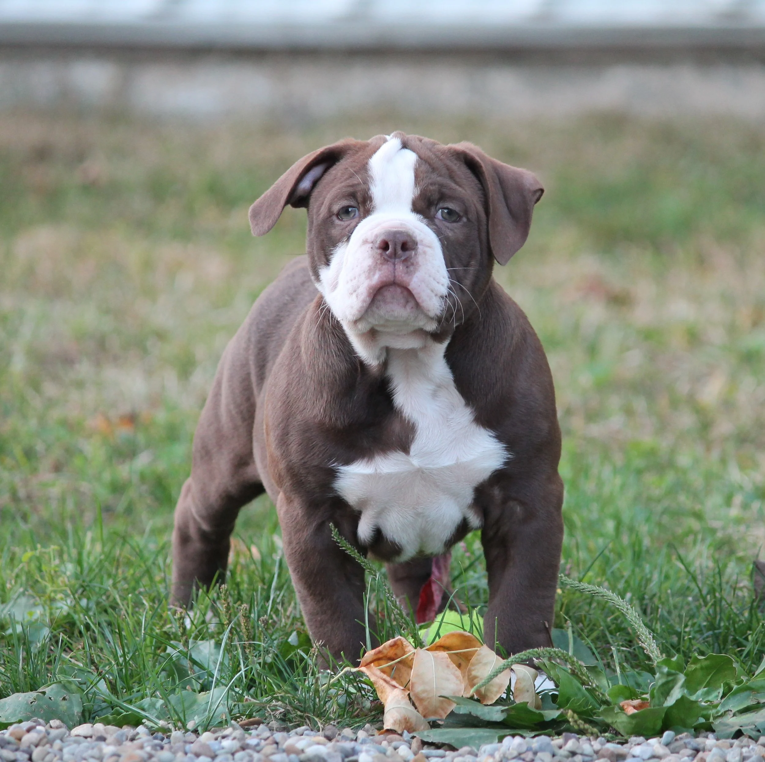 ETHEL (4).JPG