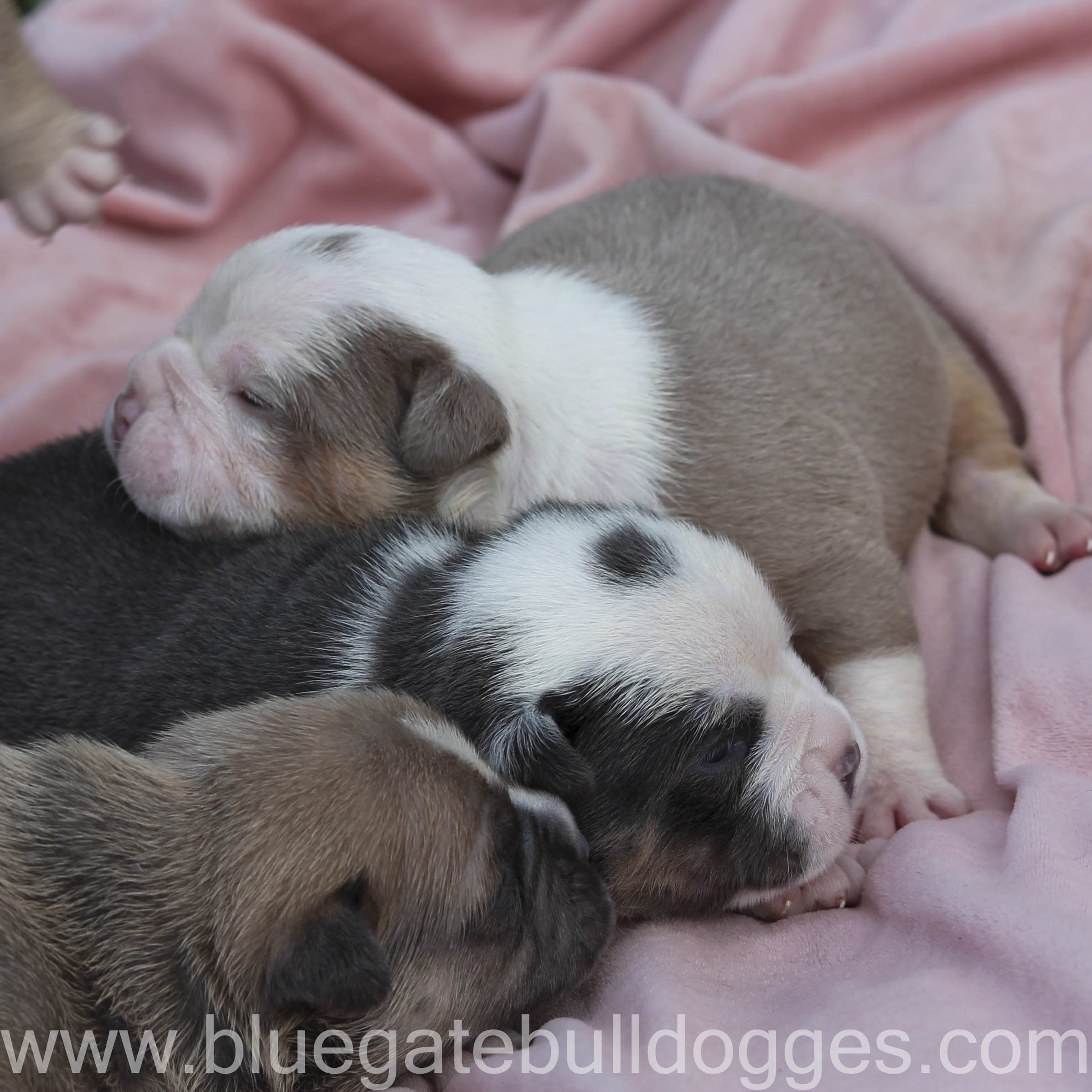 3 of the 5 males