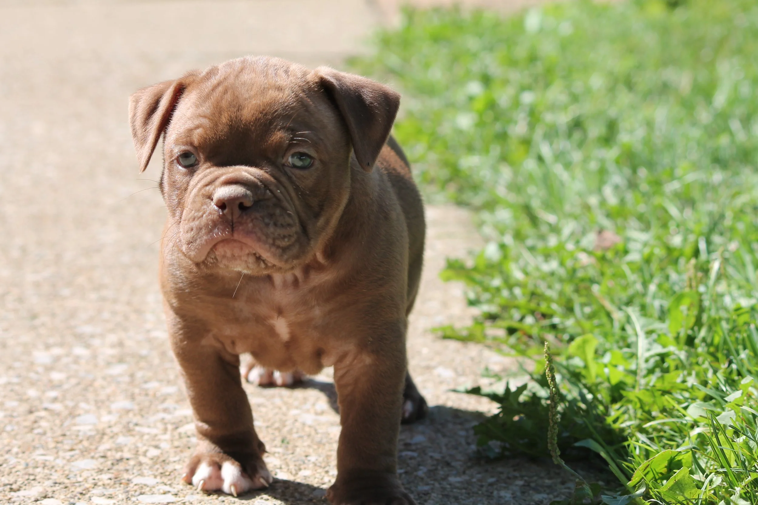 REGGIE6WK (4).JPG