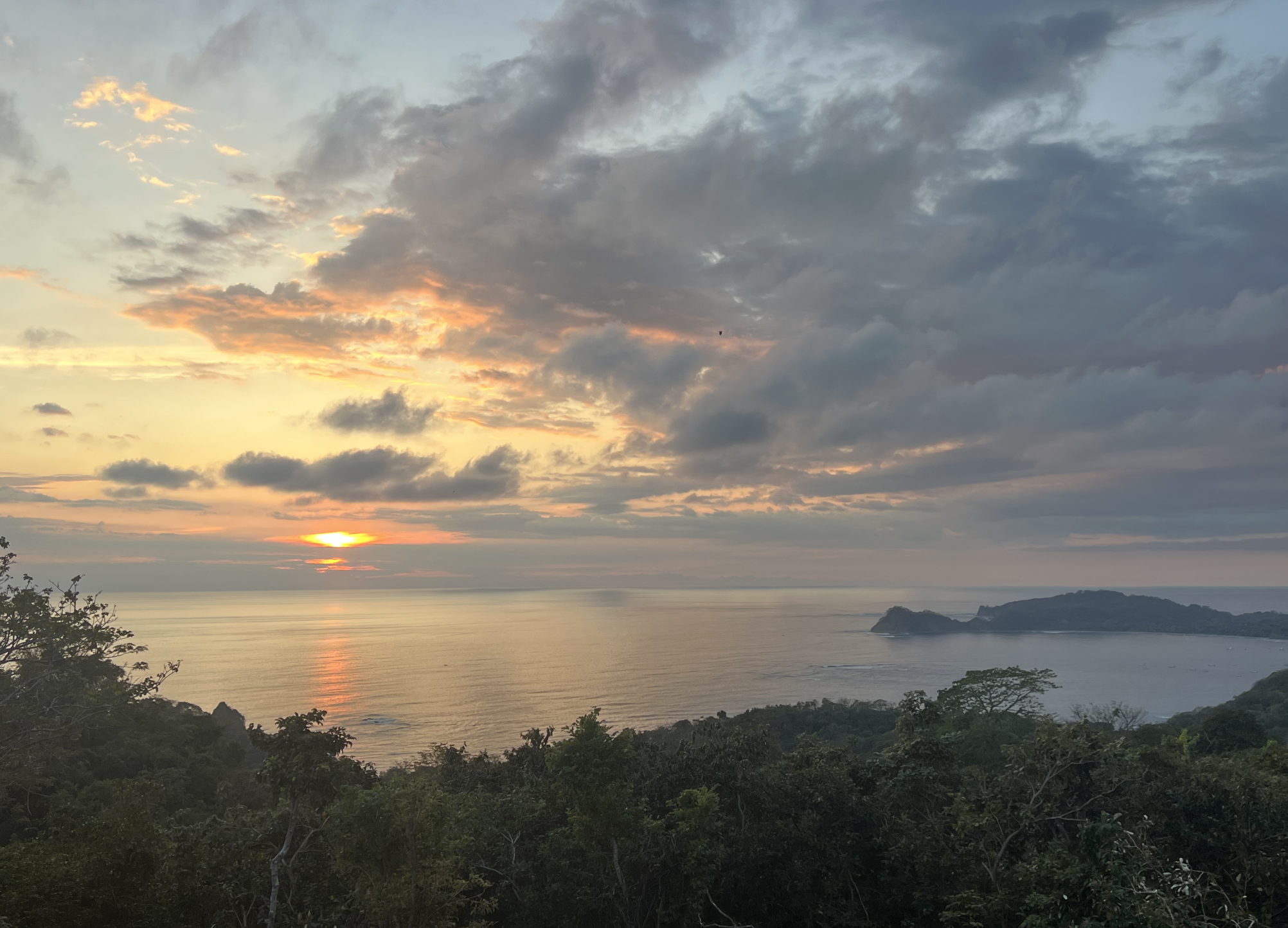 Screen Shot 2025-12-09 at 11.47.38 PM.png