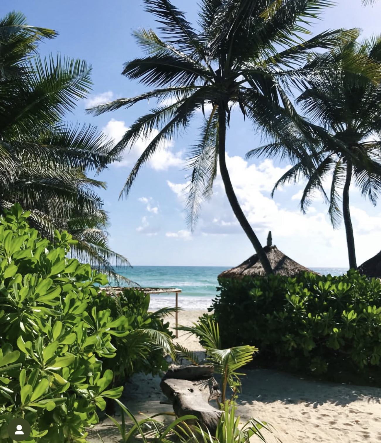 Screen Shot 2025-12-04 at 3.15.57 AM.png