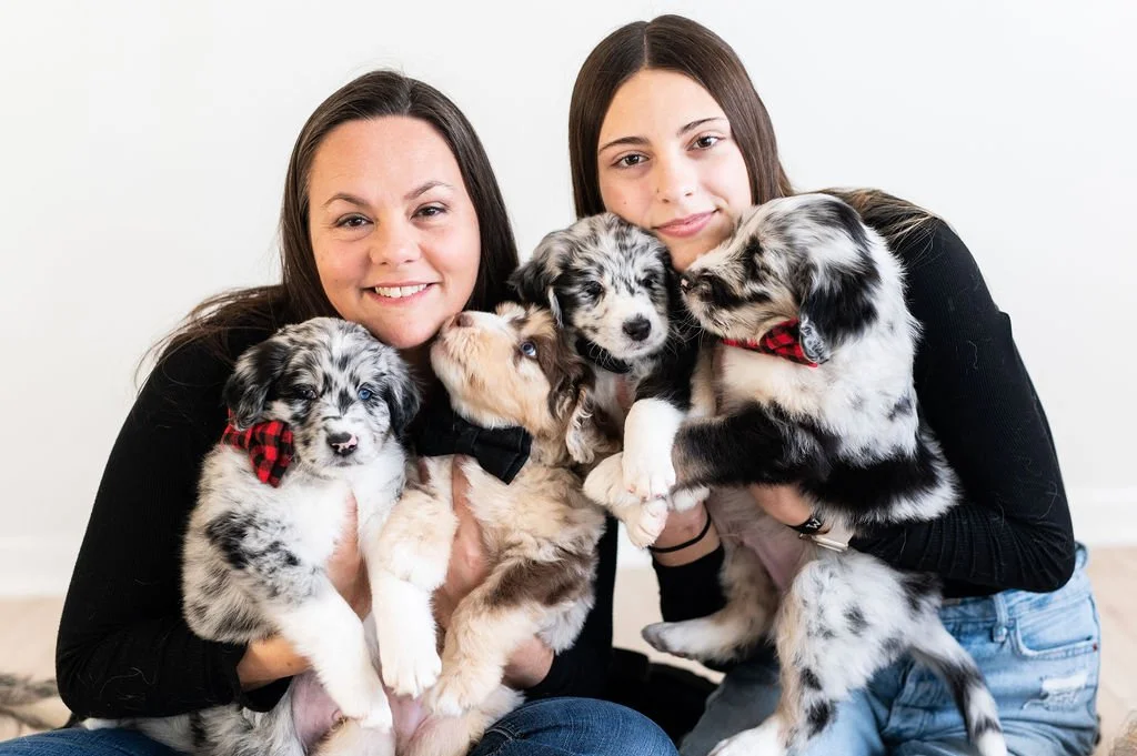Member Spotlight: Pear Tree Pups