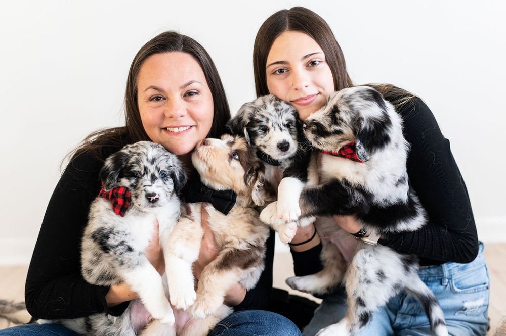 Two Illinois Local member business owners holding four merle puppies in bow ties at a member photo shoot