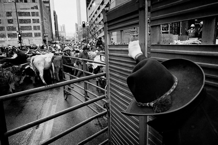 First teaser for the @nationalwestern parade in Denver! 
.
.
.
.
.
#lfi #leicacamerausa #leicacamera #nationalwesternstockshow #denver #monochrome