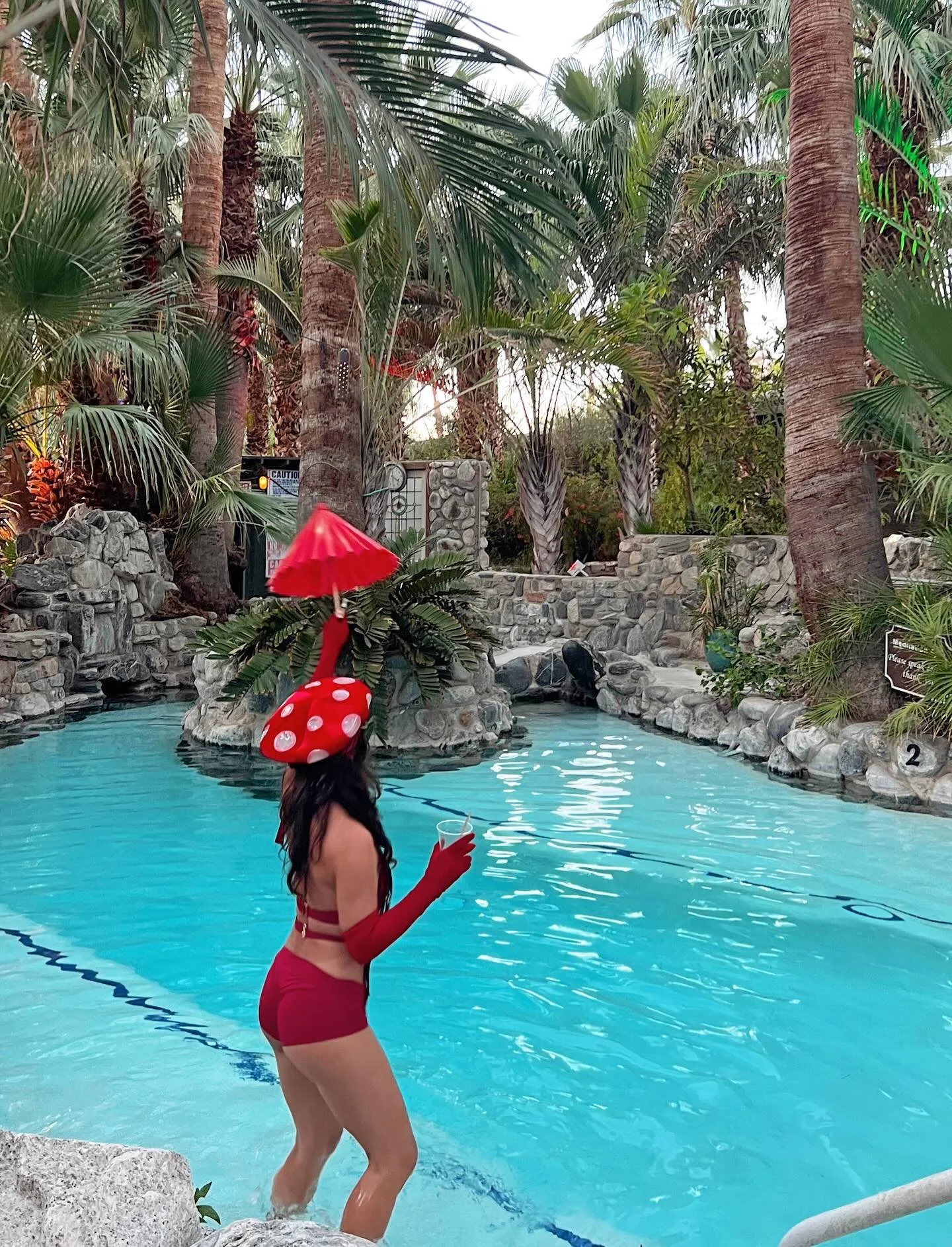 ABUNDANCE ❤️😍 🍄 My first little music tour sharing new songs and my new Advanced Harmony Technology has been a dream come true.  Thank you @golddustwomxn__ , @w1se.summit and @twobunchpalms for having me ❤️😍

The highlight has been performing at @