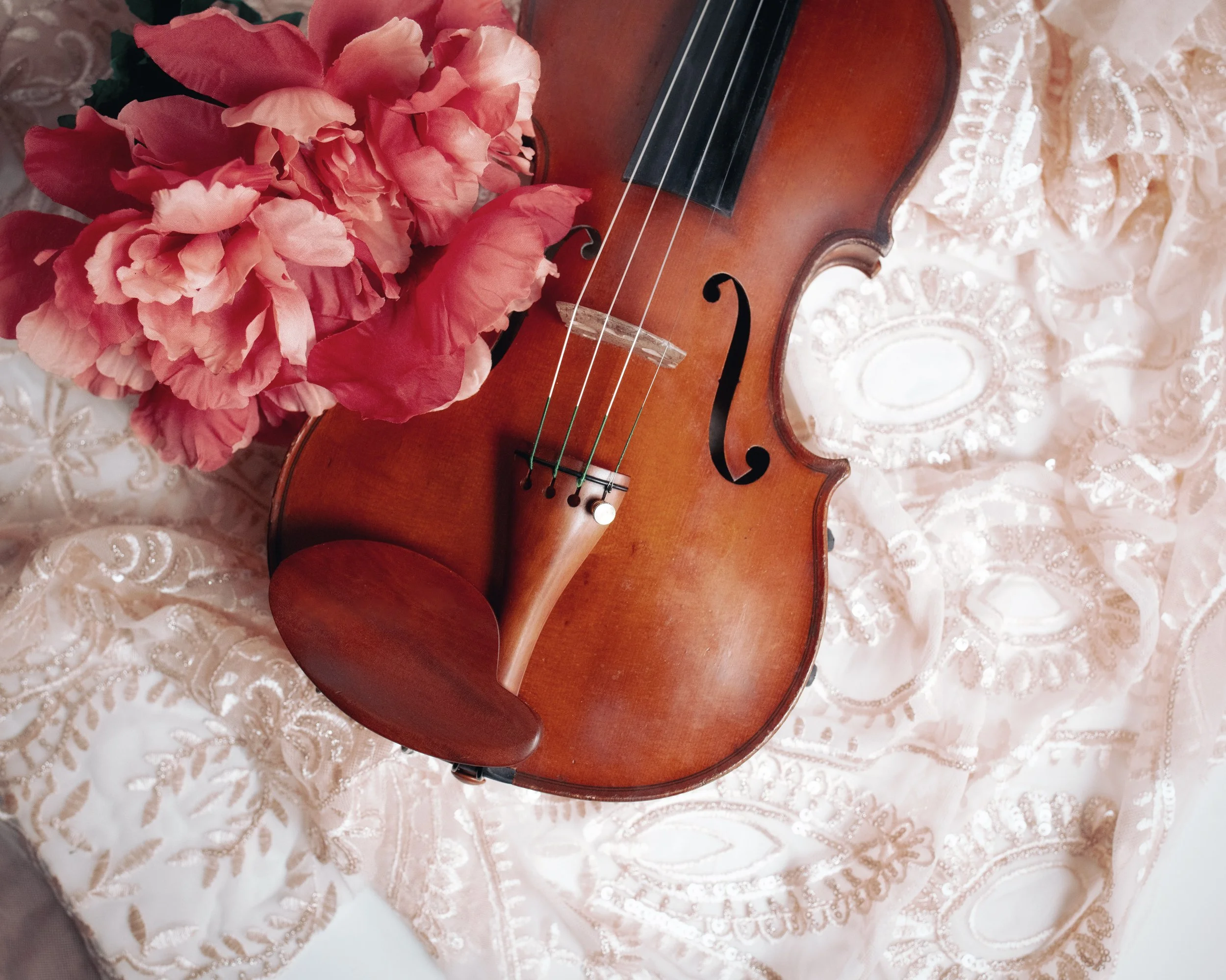 Hope violin 2.jpg
